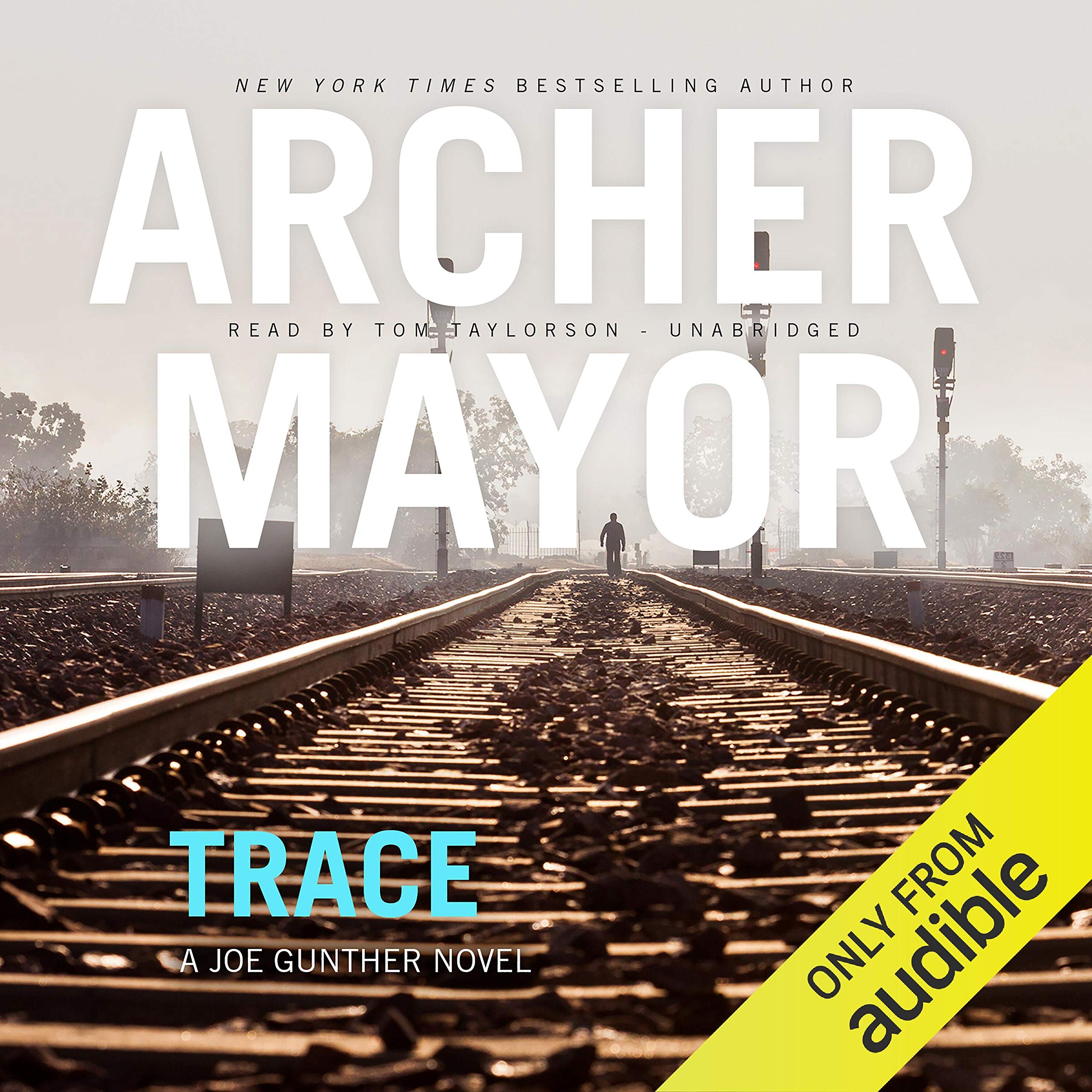 Cover art for Trace: A Joe Gunther Mystery
