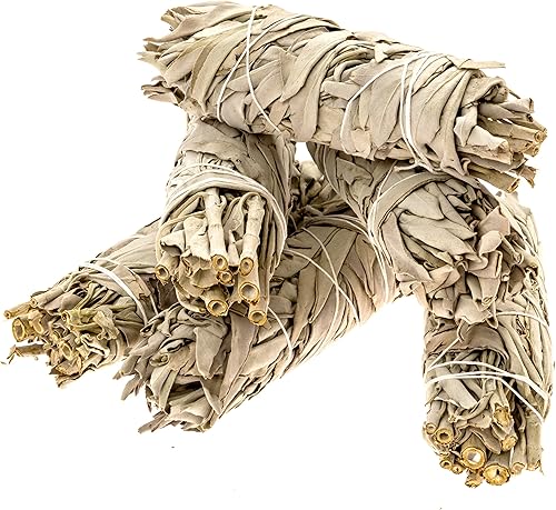 Vista 17 de Paquete de 2 palitos de salvia blanca – Varillas de manchas naturales de 6 pulgadas para kit de manchas de salvia, accesorios de meditación