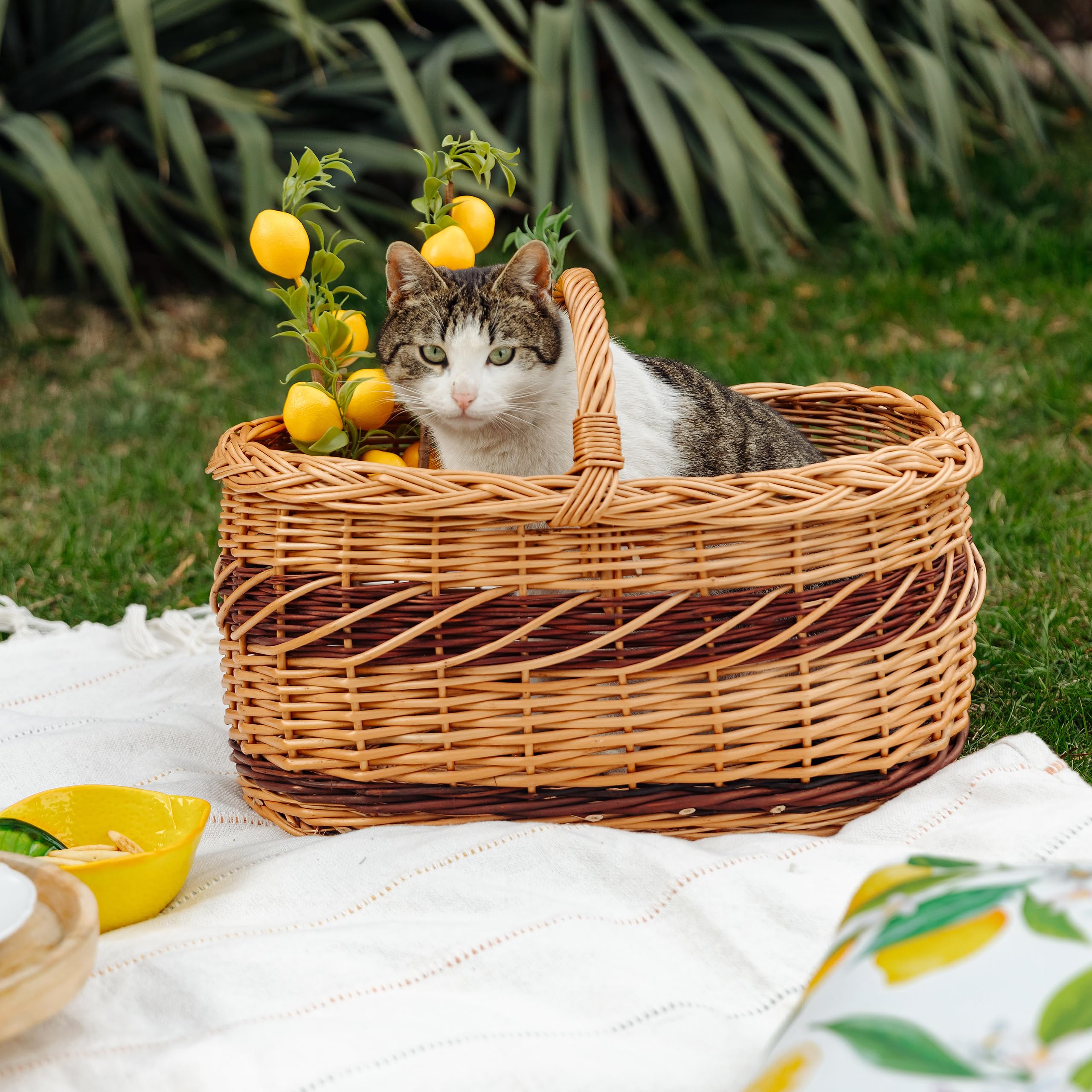 Creative Home Cesta de Mimbre Grande con Asa y Trenza | 52x35x36 cm (+/- 1 cm) Ligera | para Compra Regalo Picnic Plantas Decoración | Tejida a Mano | Marrón Natural | Multiuso, Práctica y Duradera