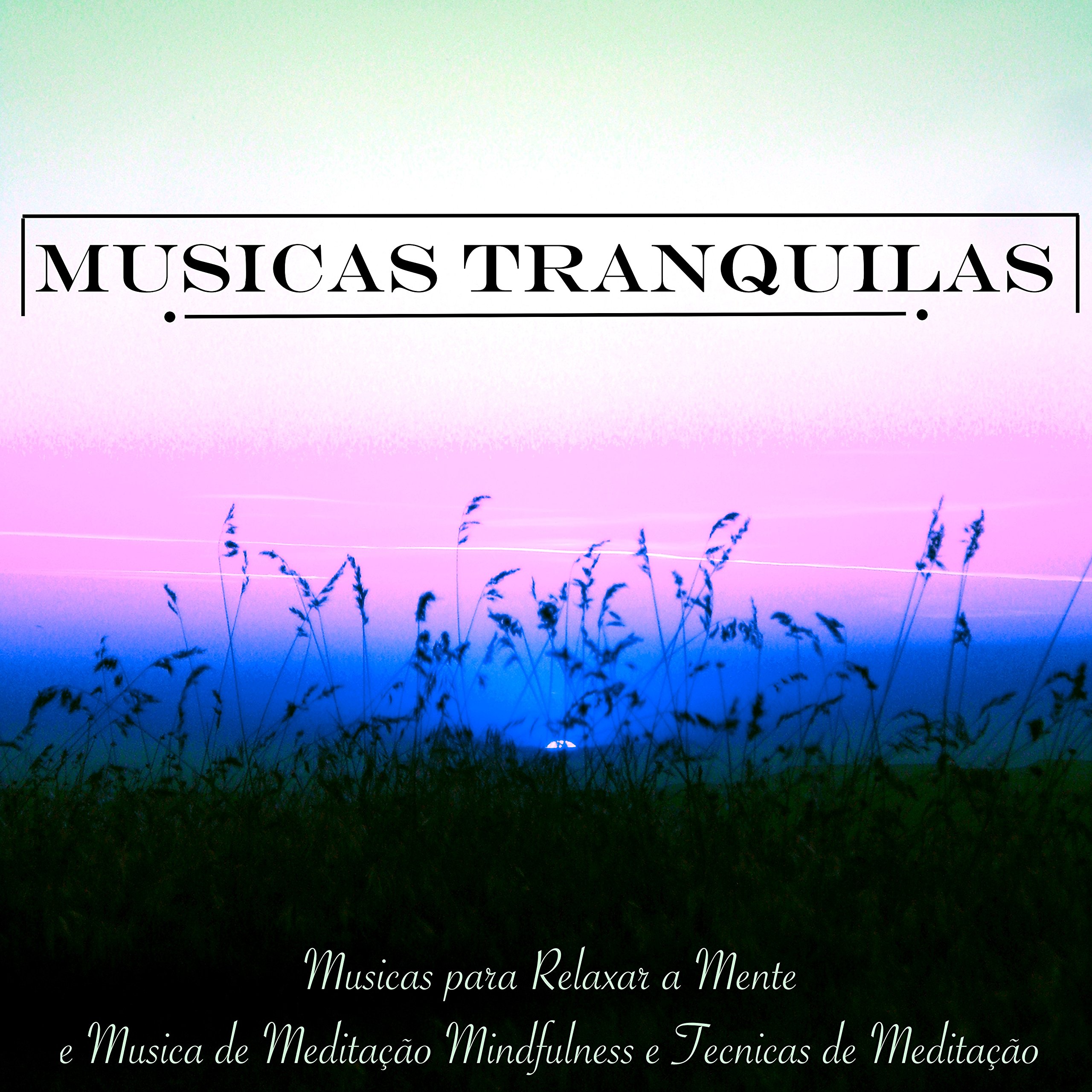 Caetano Pensamento & Gil Carioca