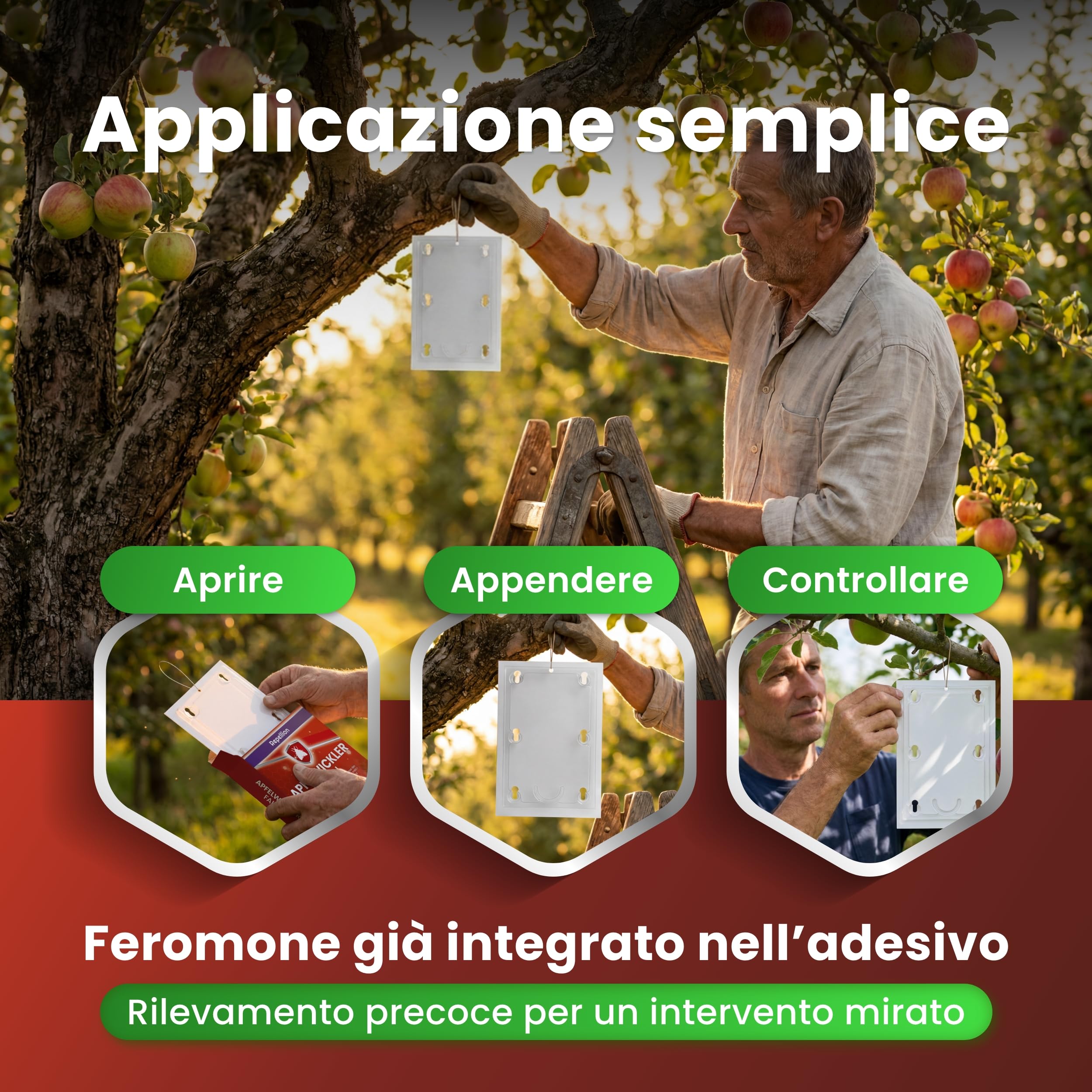 Trappola per feromoni per mele, set di 2 trappole per alberi da frutto, efficace trappola per avvolgere le prugne, protezione antitarme senza tossine per il melo, include attrattiva