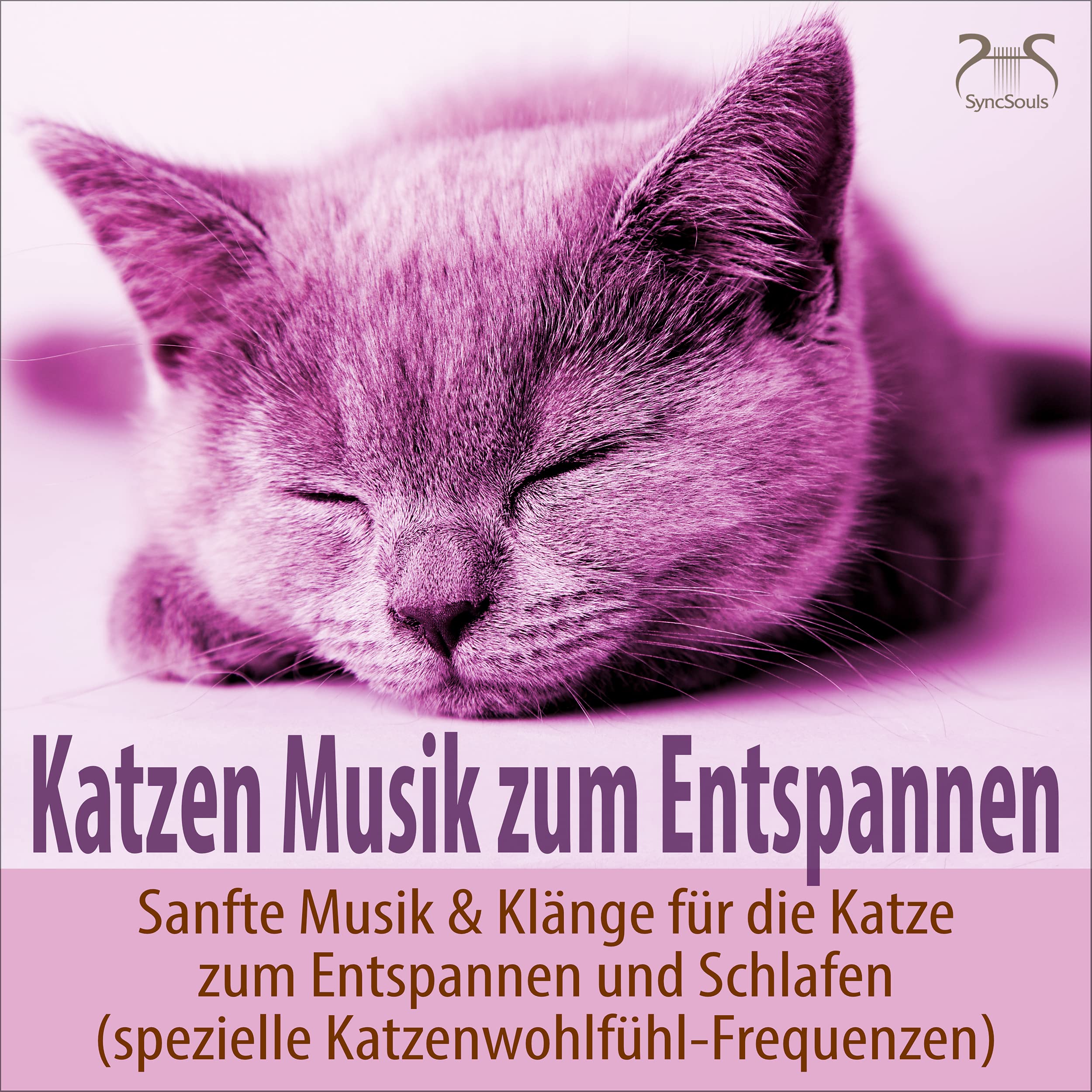 Musik für Katzen TA