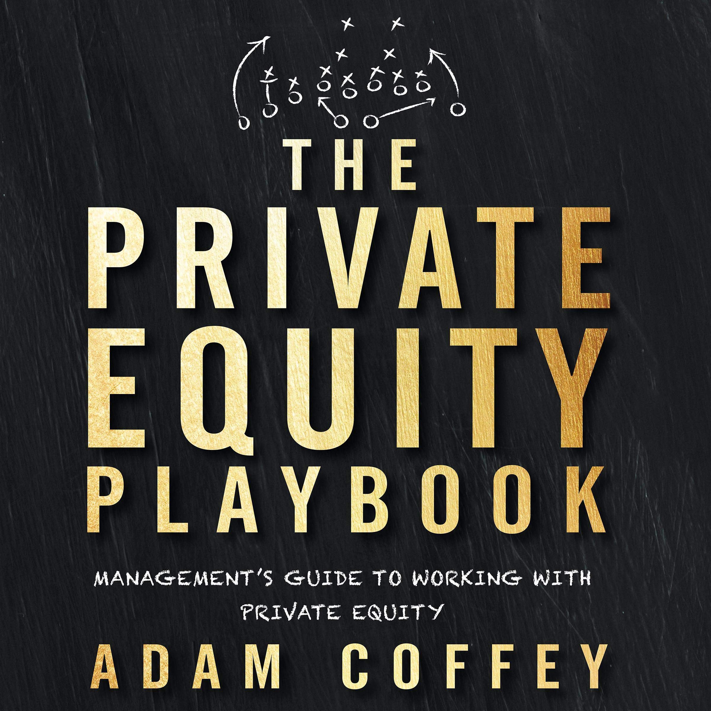 Cover art for The Private Equity Playbook
