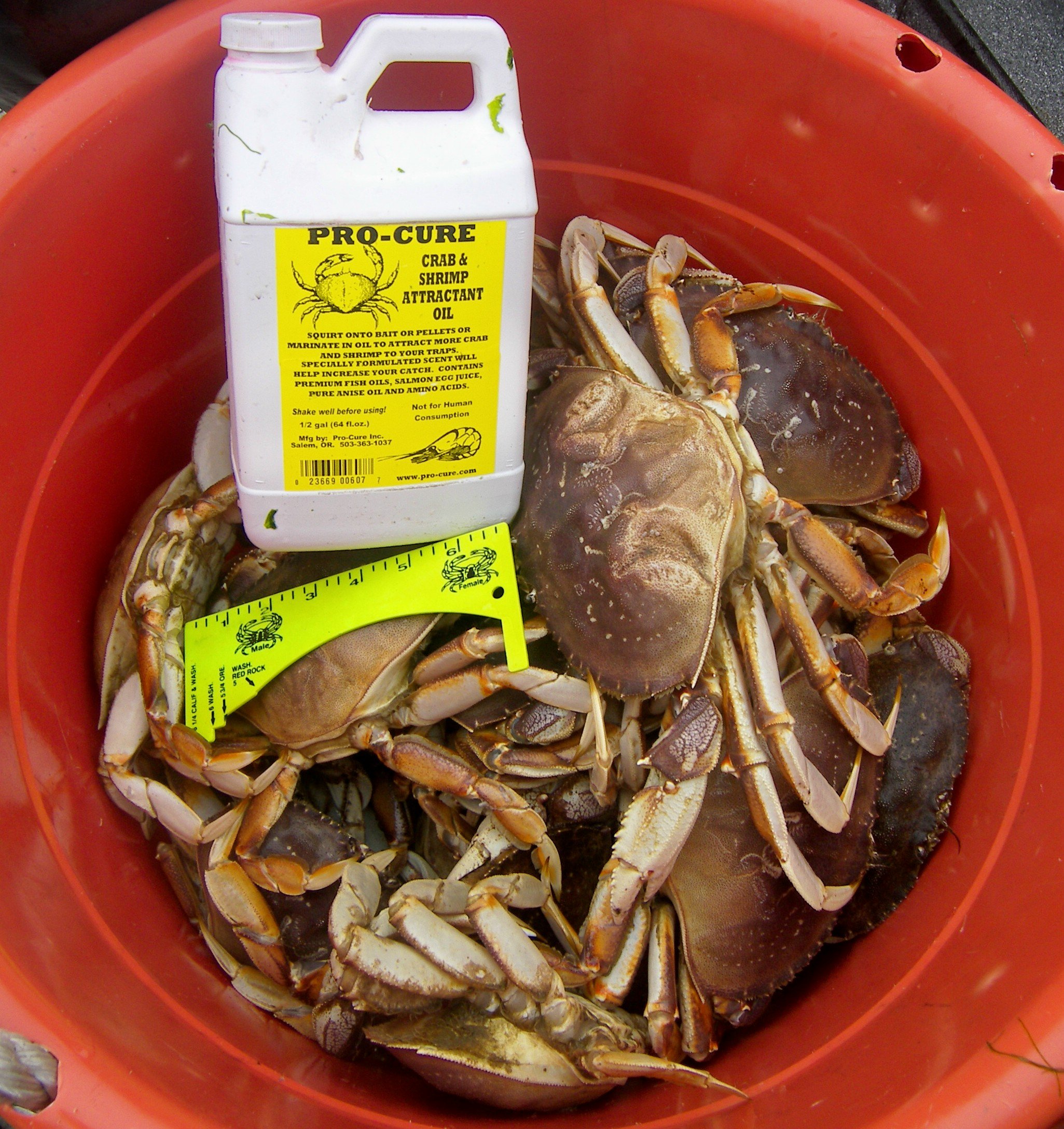 Pro cure crab attractant Clearance