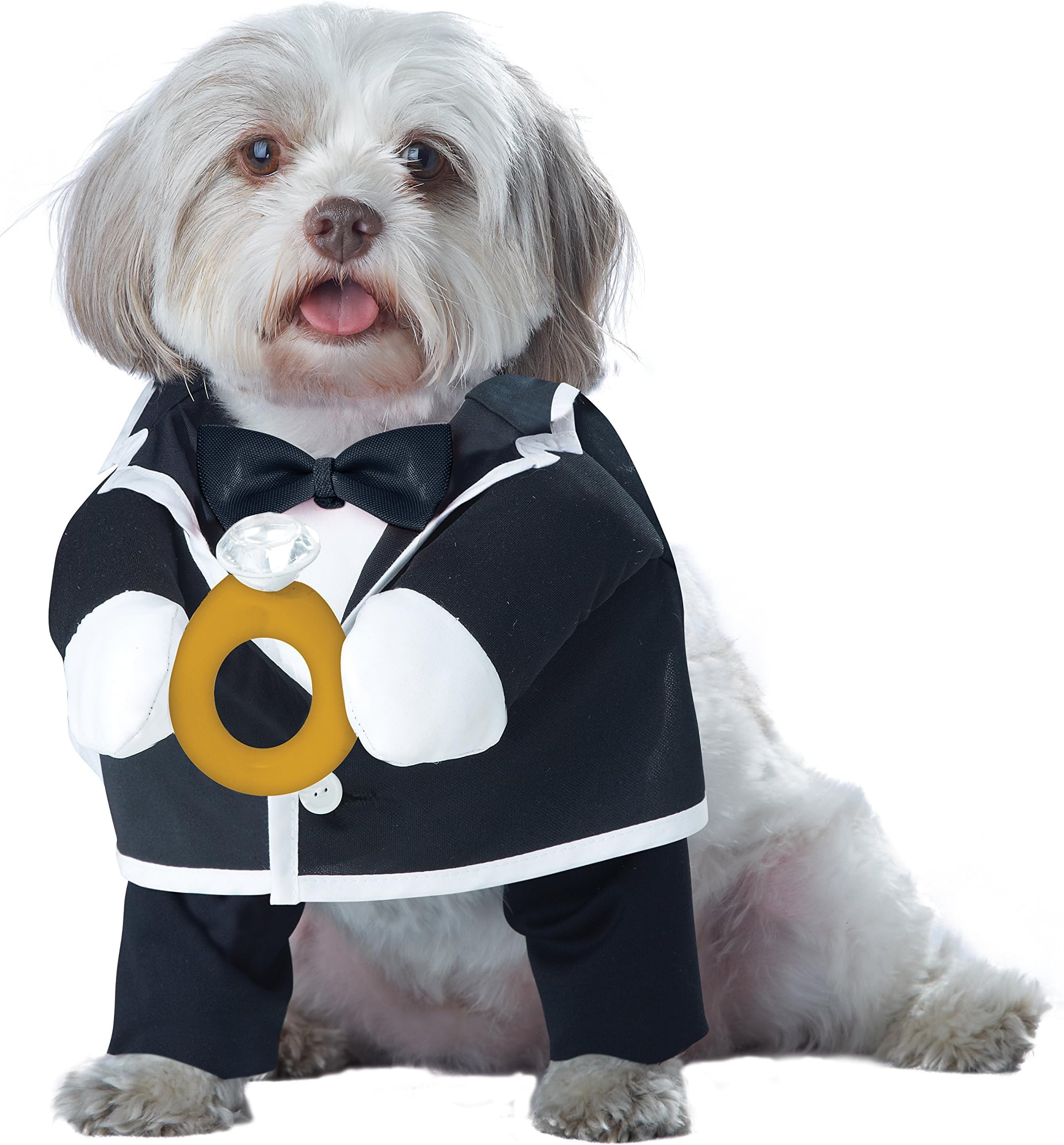 California Costumes Collections Pup-A-Razzi Puppy Love-Groom Dog Costume, Black/White, Small