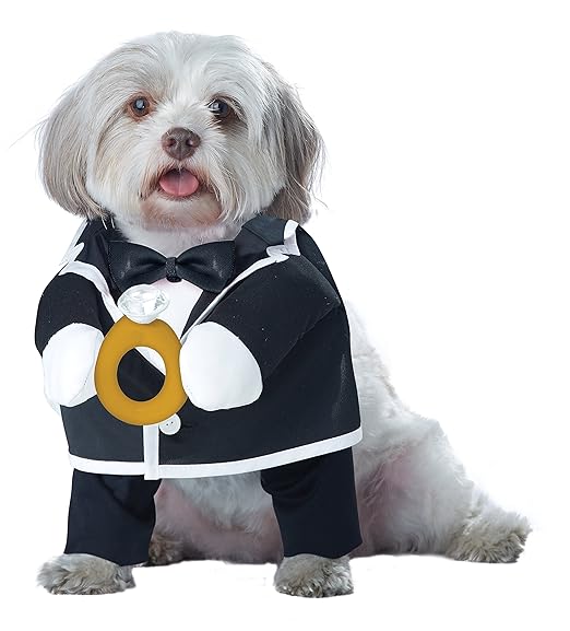 Puppy Love the Groom Halloween Pet Costume