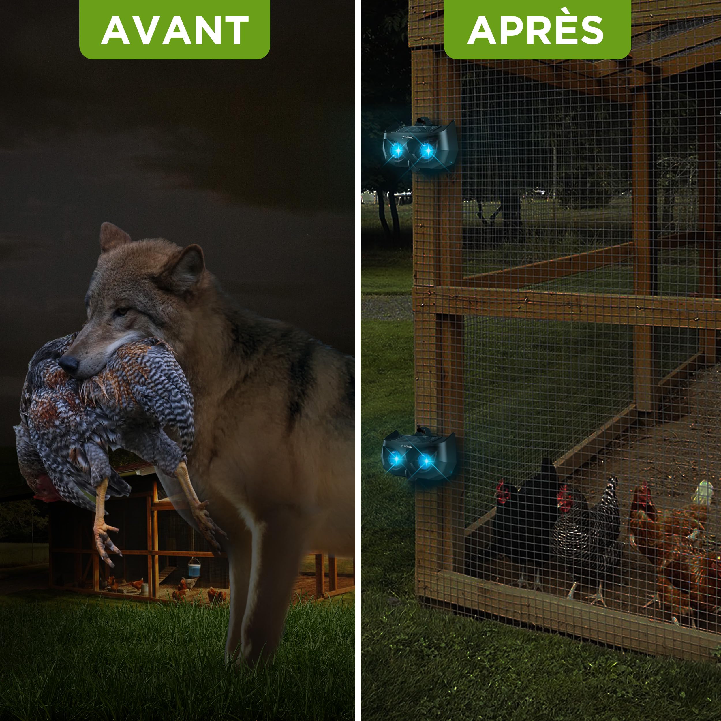 ISOTRONIC Répulsif Solaire ratons laveurs, Cerfs, Renards et sangliers – Protection Animaux Sauvages avec LED Bleue – Dissuasion Efficace portée 40 m² – Lot de 4 pièces pour Jardin et extérieur