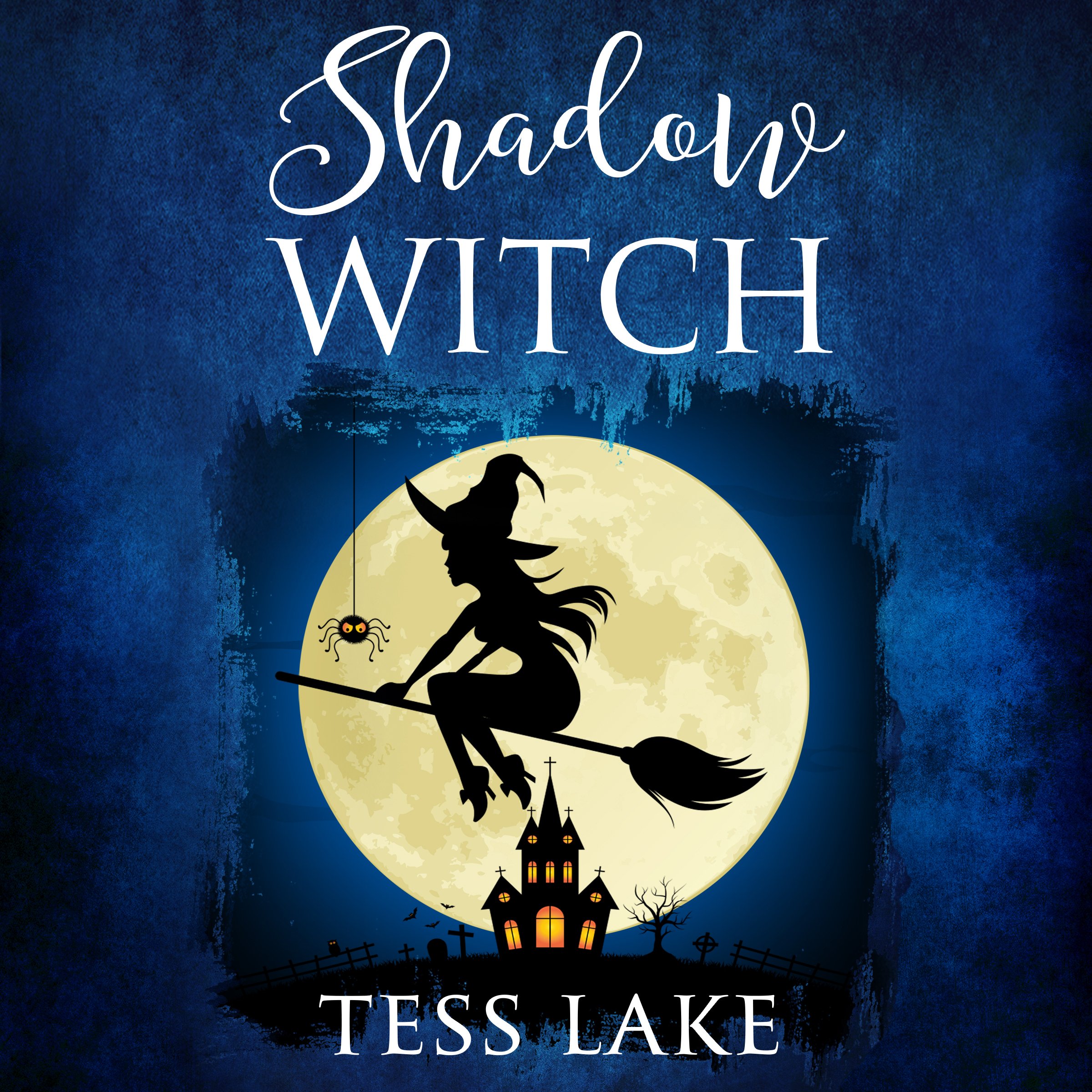 Cover art for Shadow Witch