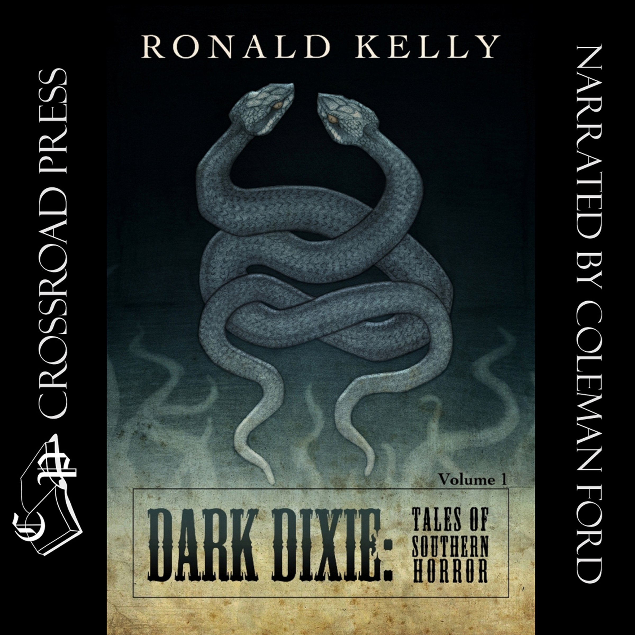 Cover art for Dark Dixie