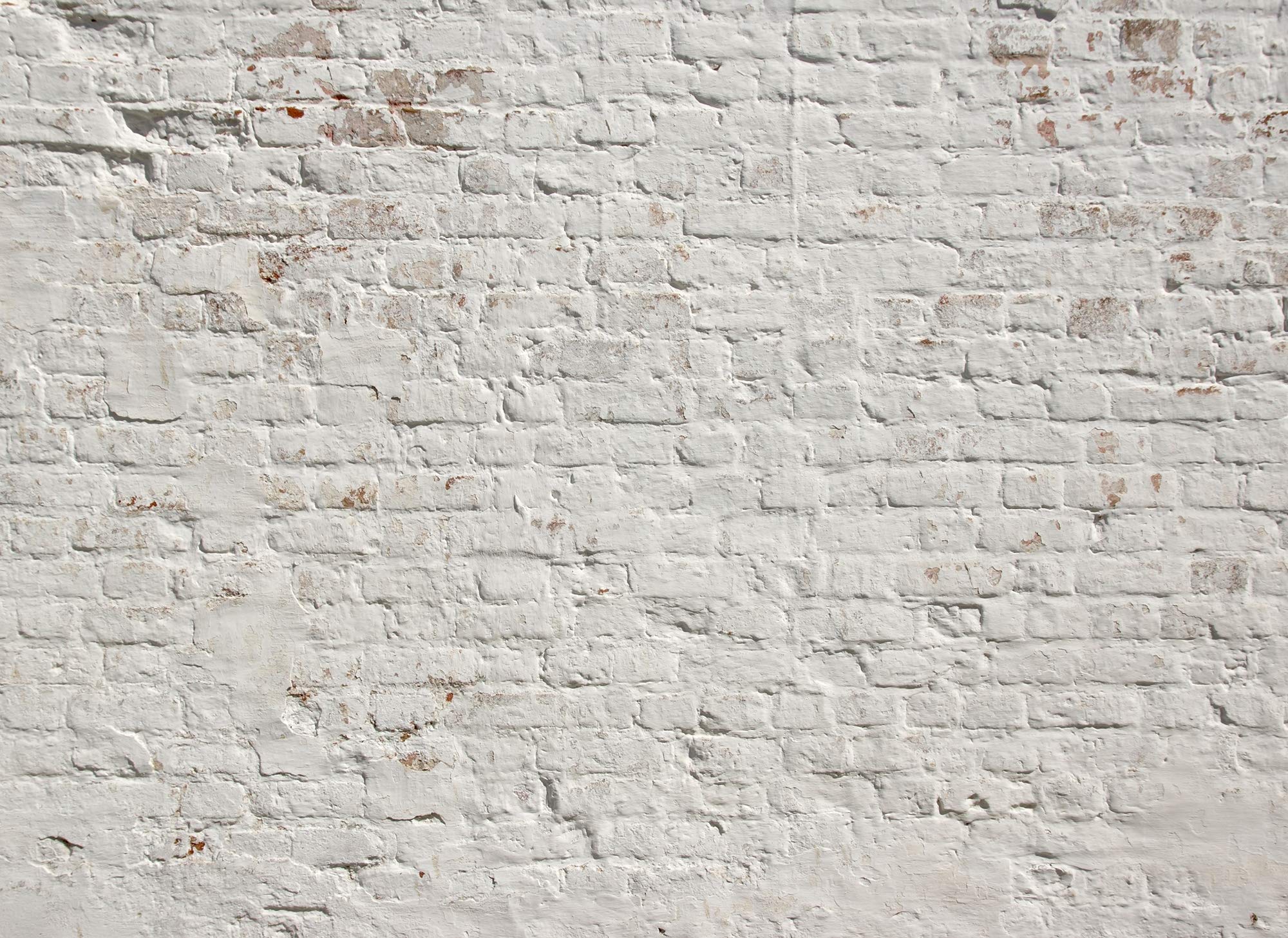 Livingwalls Vliestapete - Tapete Mauer Steinoptik in Weiß, Grau und Grau - Wandtapete für verschiedene Räume - Wandbild XXL 350 x 255 cm