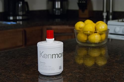 Miniatura 6 de Kenmore 79551012010 9890 Filtro de agua de repuesto para refrigerador, 1 unidad (paquete de 1), color blanco