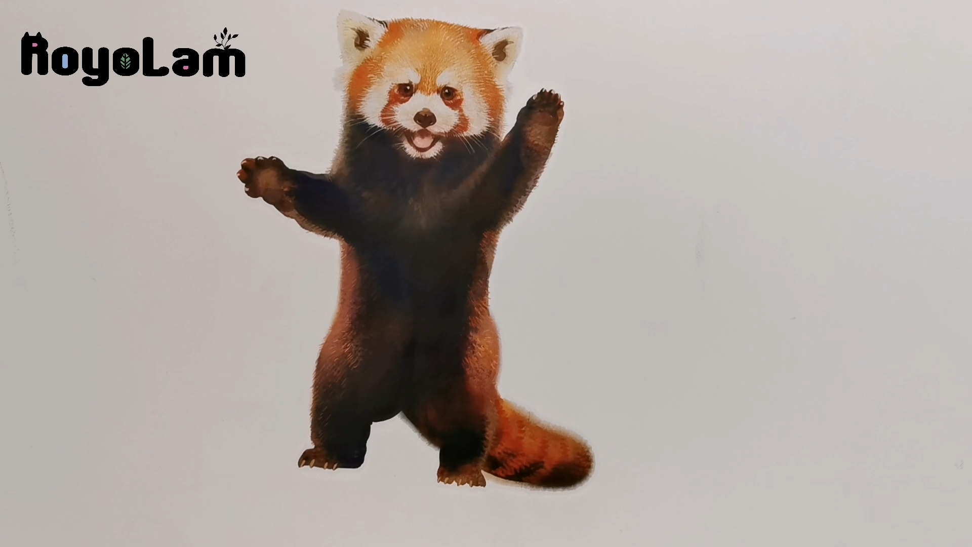 Vinilo decorativo panda rojo removible y resistente al agua miniatura 7