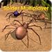 Spider World Multiplayer