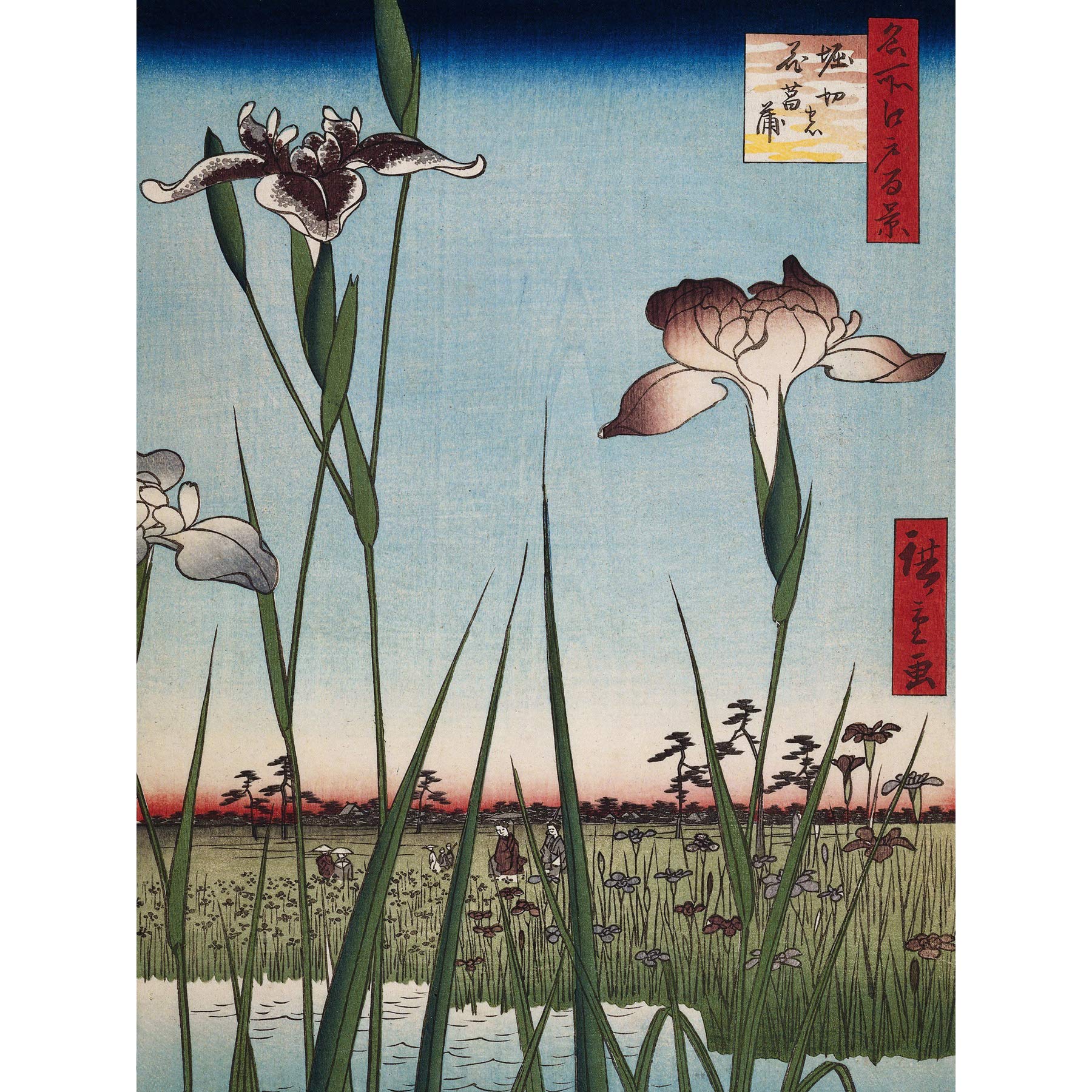 Artery8 Hiroshige Irises In Horikiri Japanese Plants Large Wall Art Poster Print Thick Paper 18X24 Inch