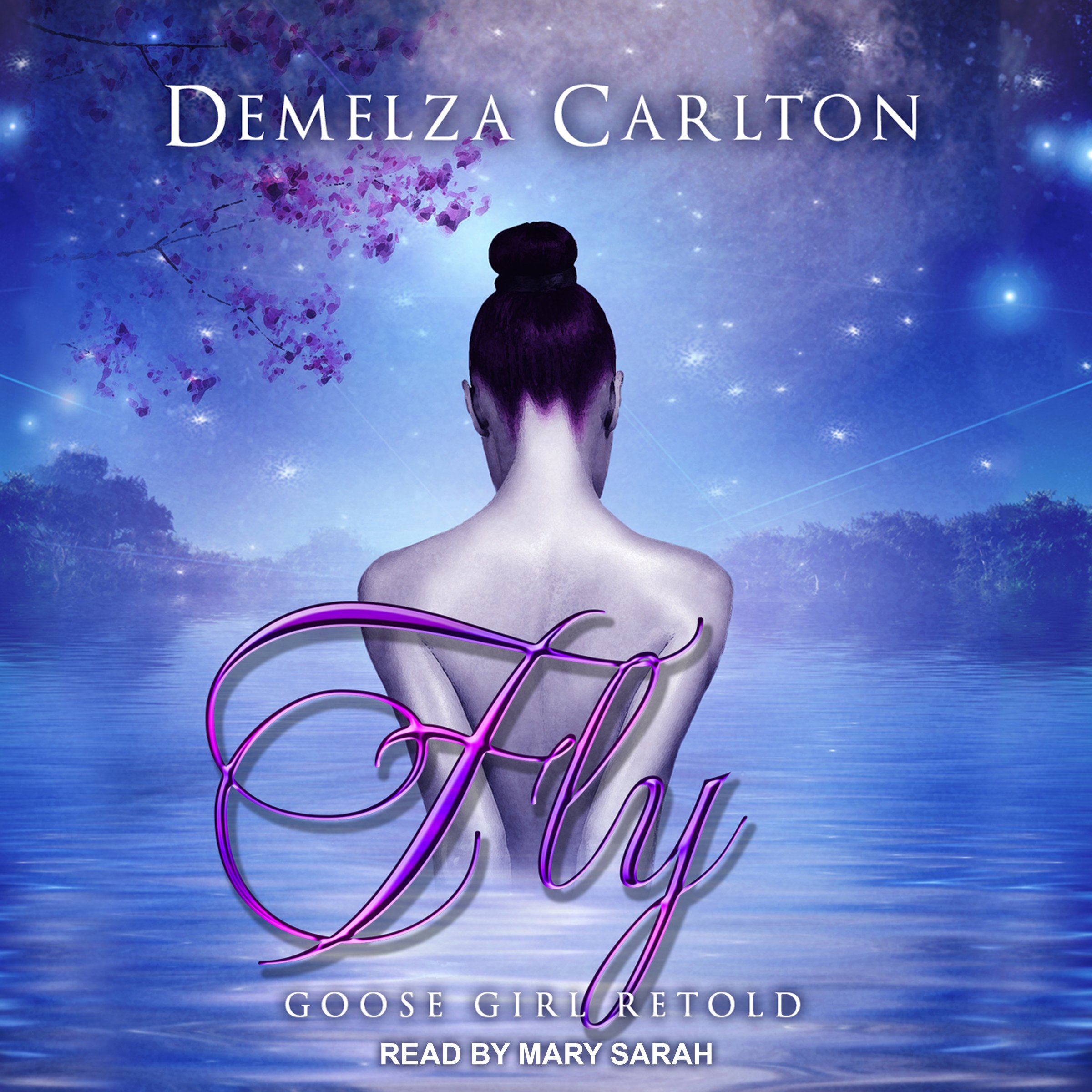 Cover art for Fly