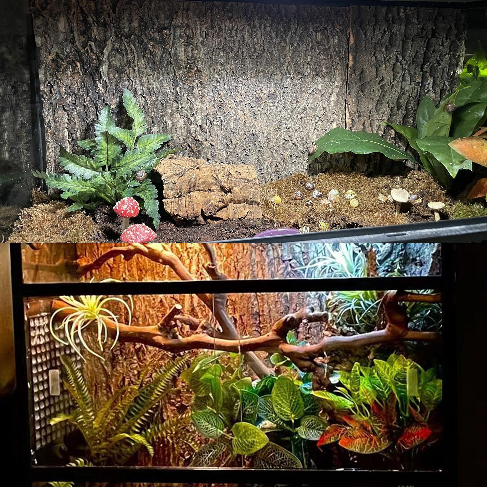 Tfwadmx Tło terrarium z korka 30 cm x 20 cm naturalne tło korka korka tło gad ściana wspinaczkowa terrarium akcesoria dla jaszczurki, żółwia, gekona, brodatego smoka, kameleona