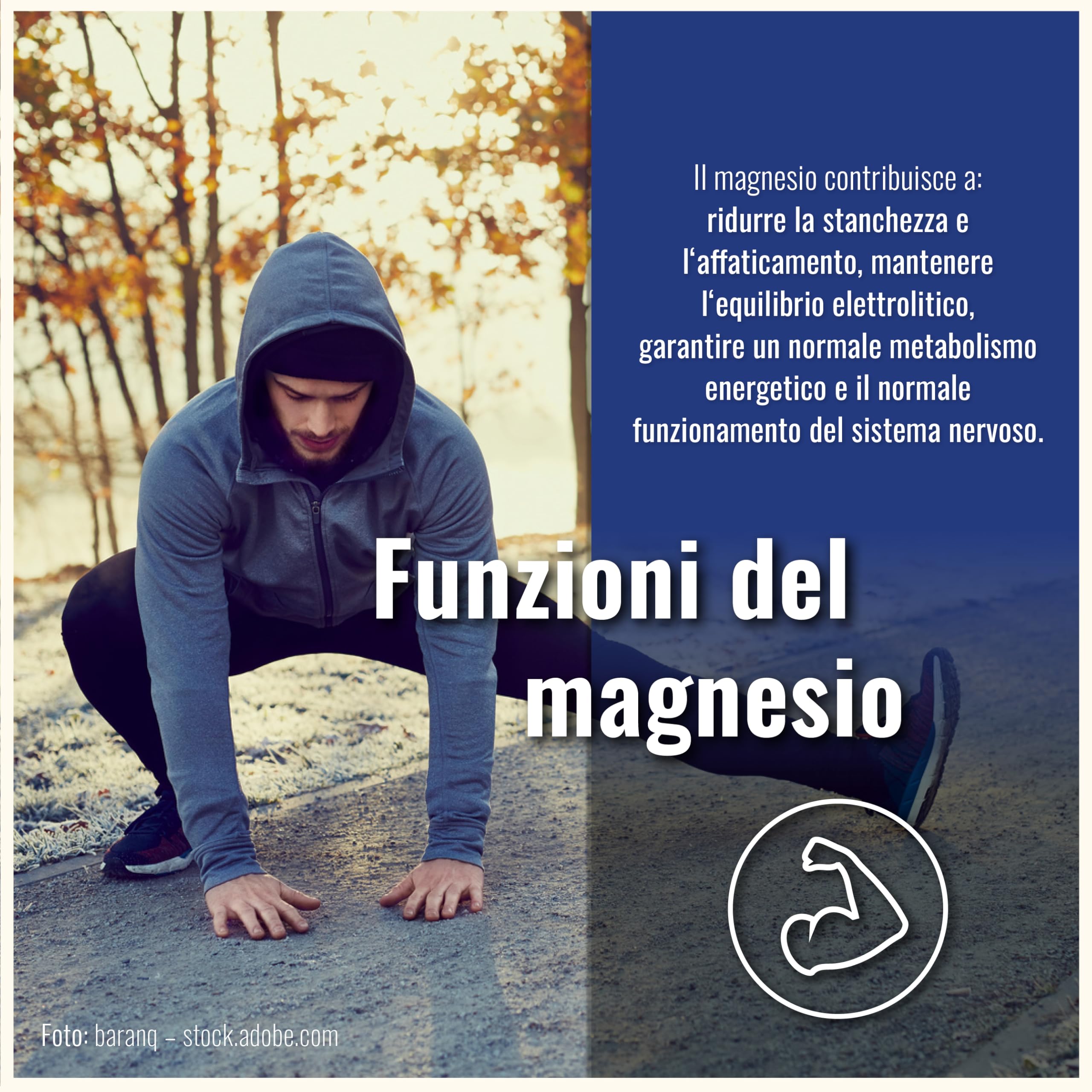 Magnésium Bisglycinate Gélules – 300 Gélules Hautement Dosées – Bisglycinate de Magnésium 400 mg par Portion Quotidienne – Végan – Magnesium Bisglycinate