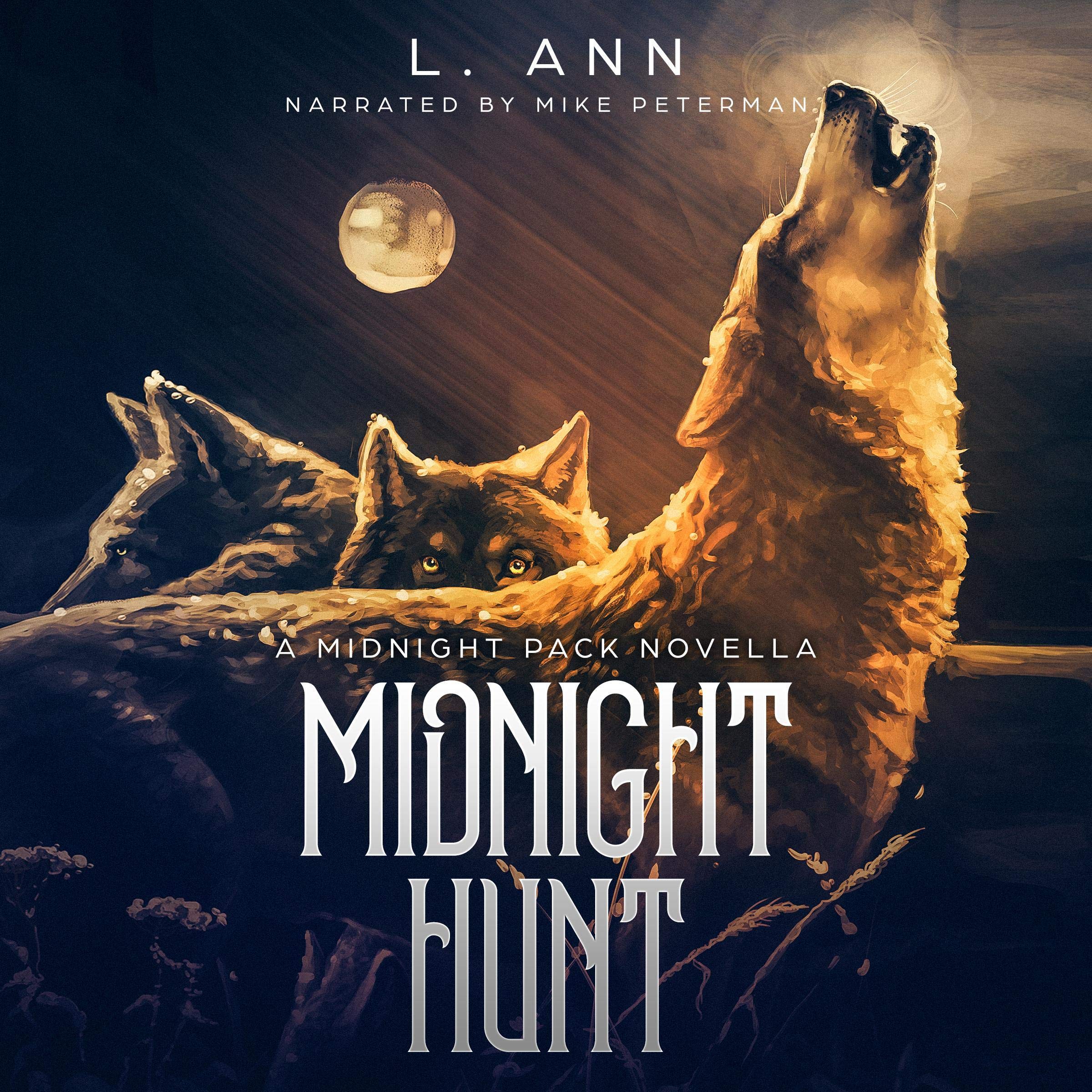 Cover art for Midnight Hunt