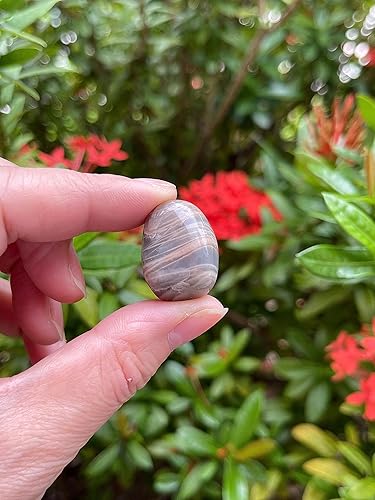 Miniatura 474 de GAF TREASURES Piedras pulidas de ojo de tigre de 1/2 libra, piedra preciosa natural pulida, cristales curativos de ojo de tigre (ojo de tigre)