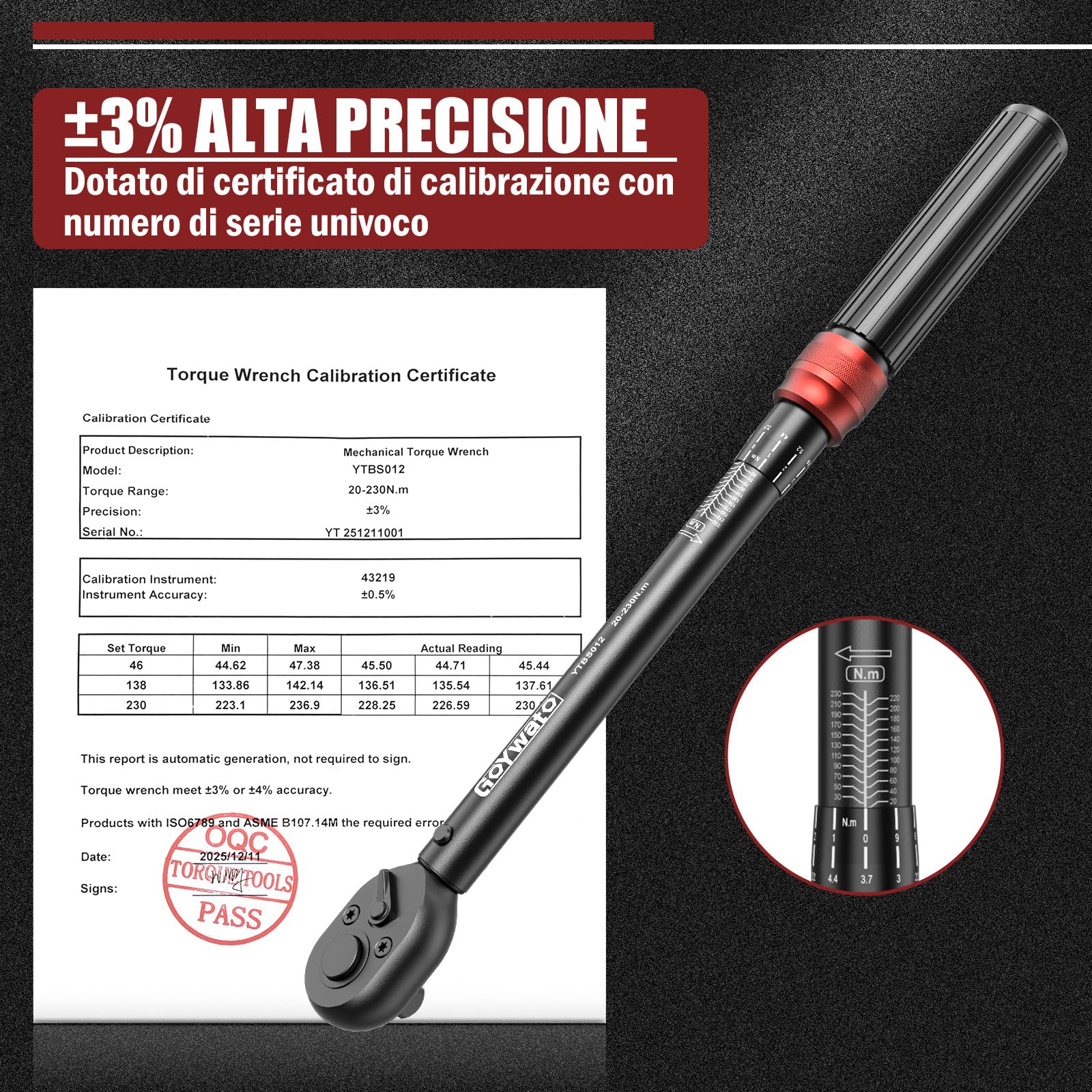 Chiave Dinamometrica 1/2" 20-230 Nm - 6 Pezzi Chiave Dinamometrica Auto, Cricchetto a 72 Denti, con Barra di Prolunga & Adattatore da 1/2 "a 3/8" & Bussole 17mm/19mm/21mm, per Auto, Moto, Cambio Gomme