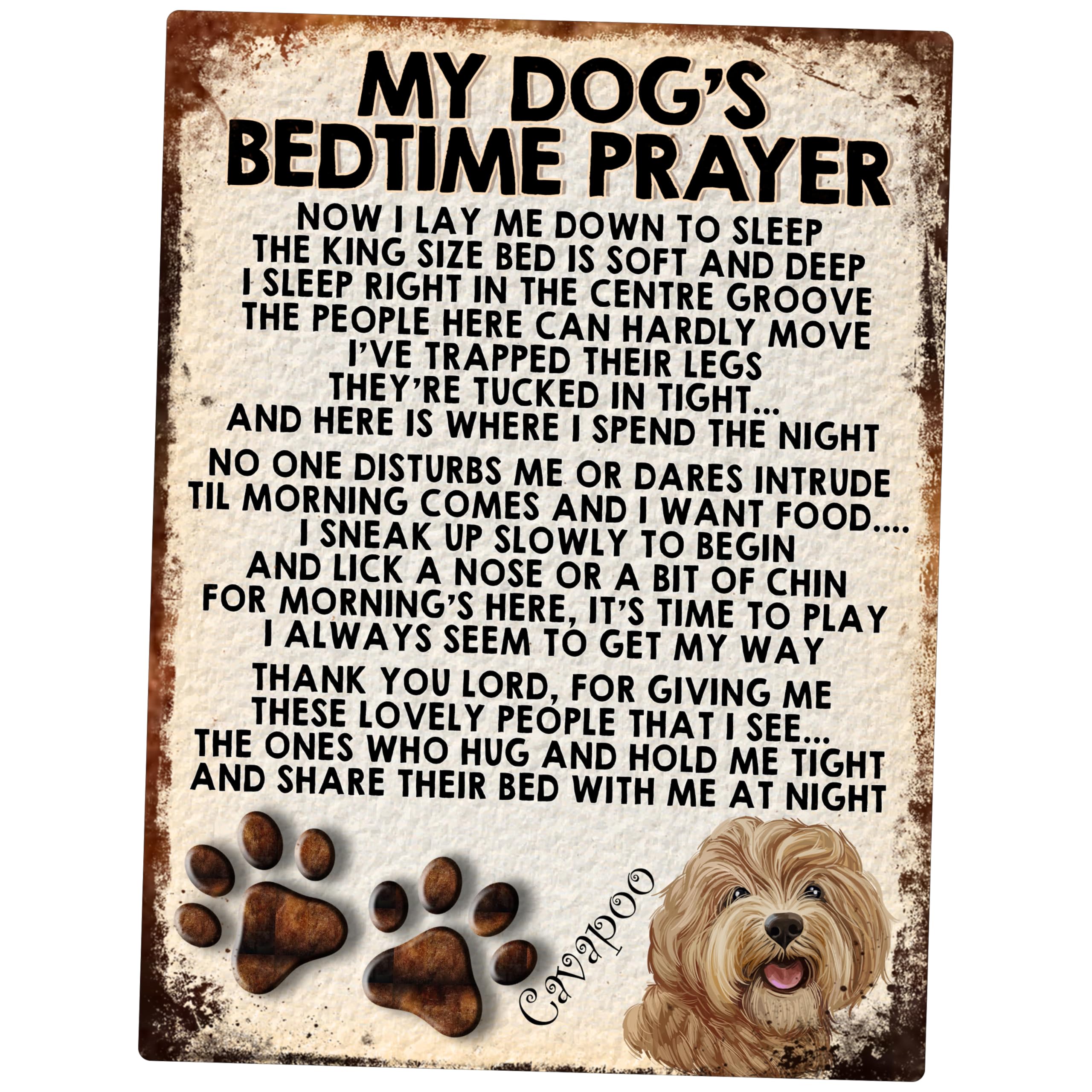 Shawprint Limited My Dog's Bedtime Prayer Retro Style Metal Tin Sign/Plaque (400Drs) Cavapoo