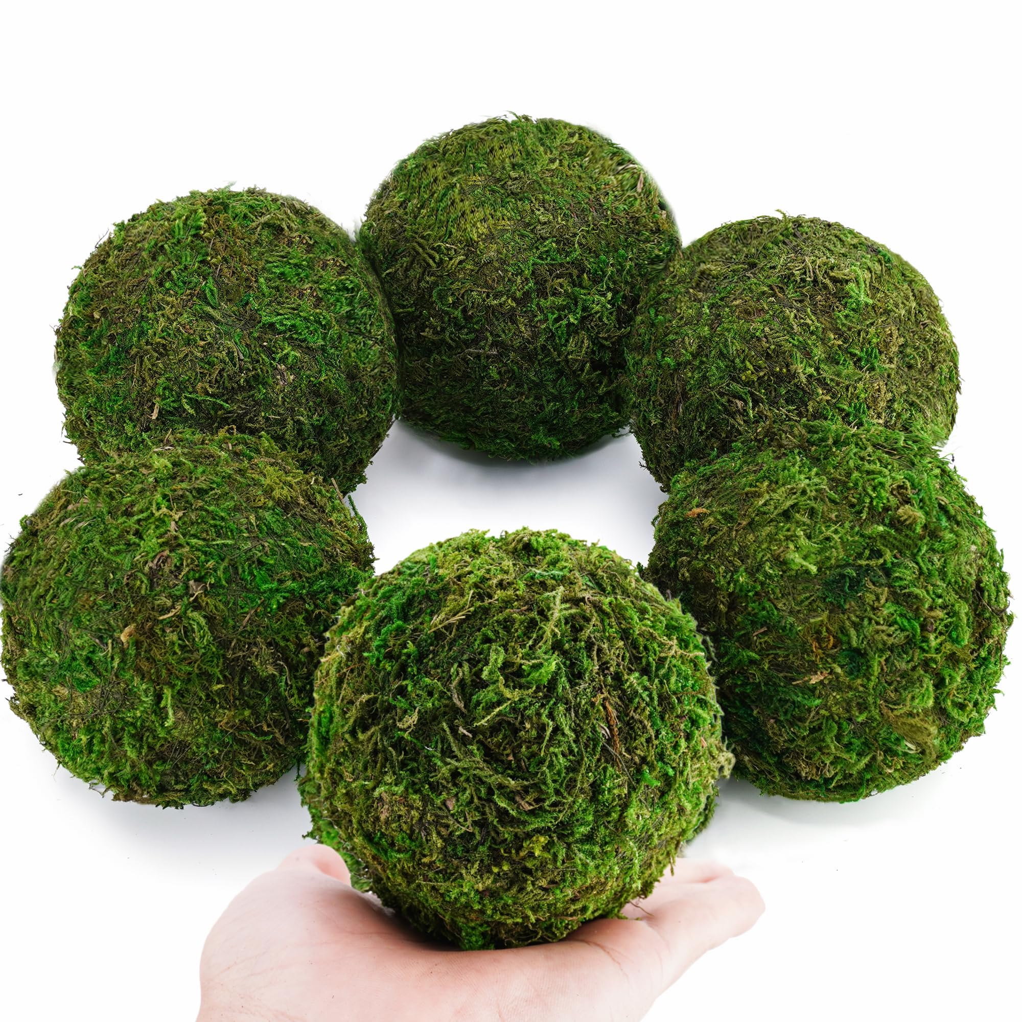 BYHER Decorative Moss Balls Set