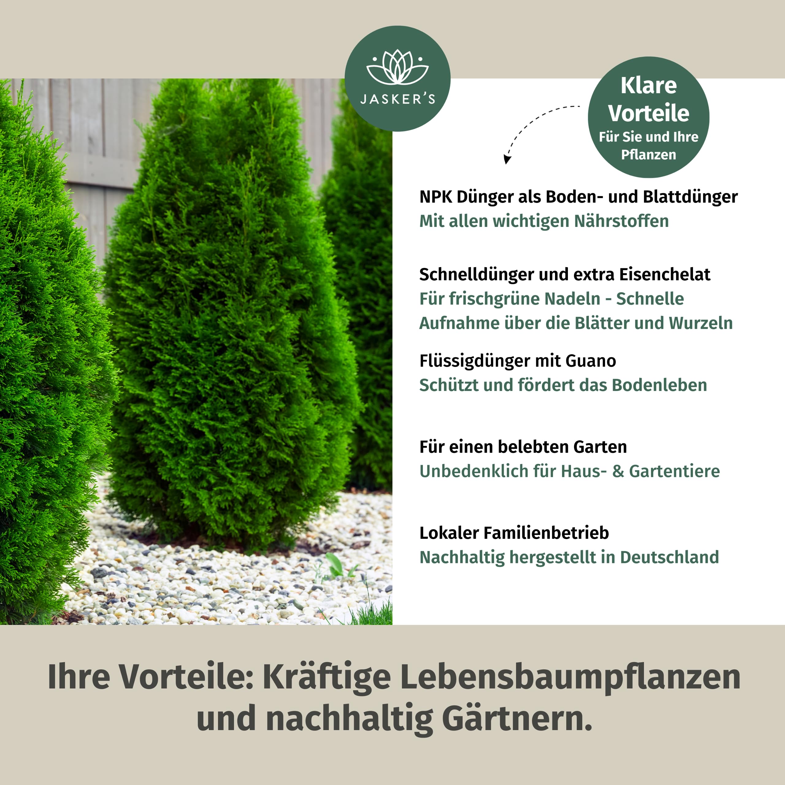 Thuja Dnger Flssig 2 Liter Konzentrat - Koniferen Flssigdnger fr 400  Liter Giewasser - 100% Schnelldnger - Organischer Koniferendnger -  Kalium fr Thuja Smaragd : Amazon.de: Garten