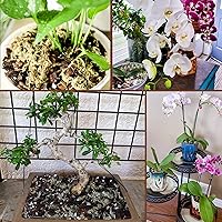 Vista 5 de Mezcla para macetas de corteza de orquídea, 3 cuartos de galón, mezcla de corteza de pino, perlita orgánica, musgo esfagnum y arcilla de leca