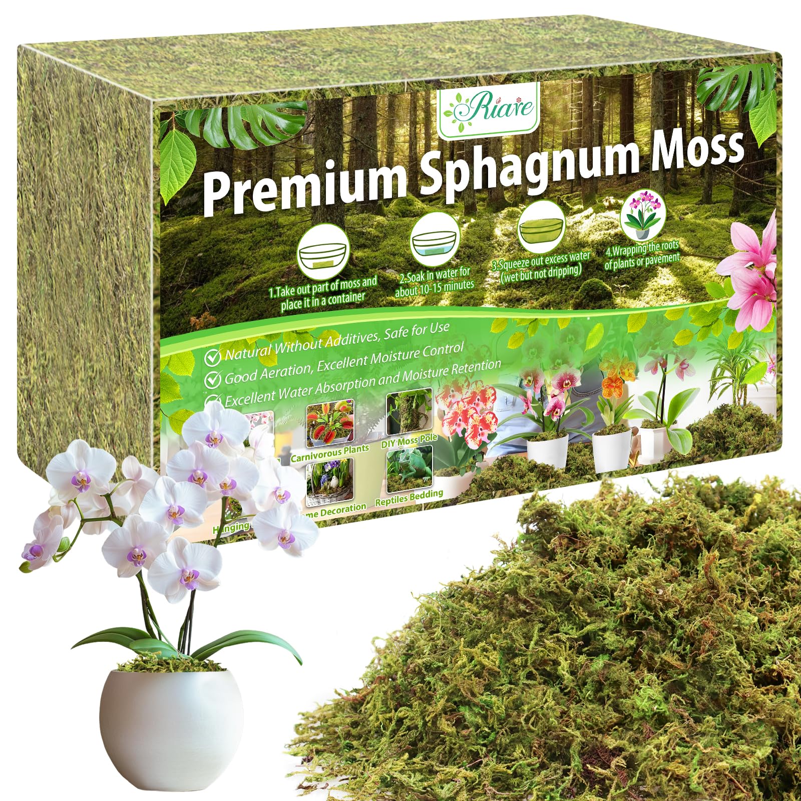 Riare Moss