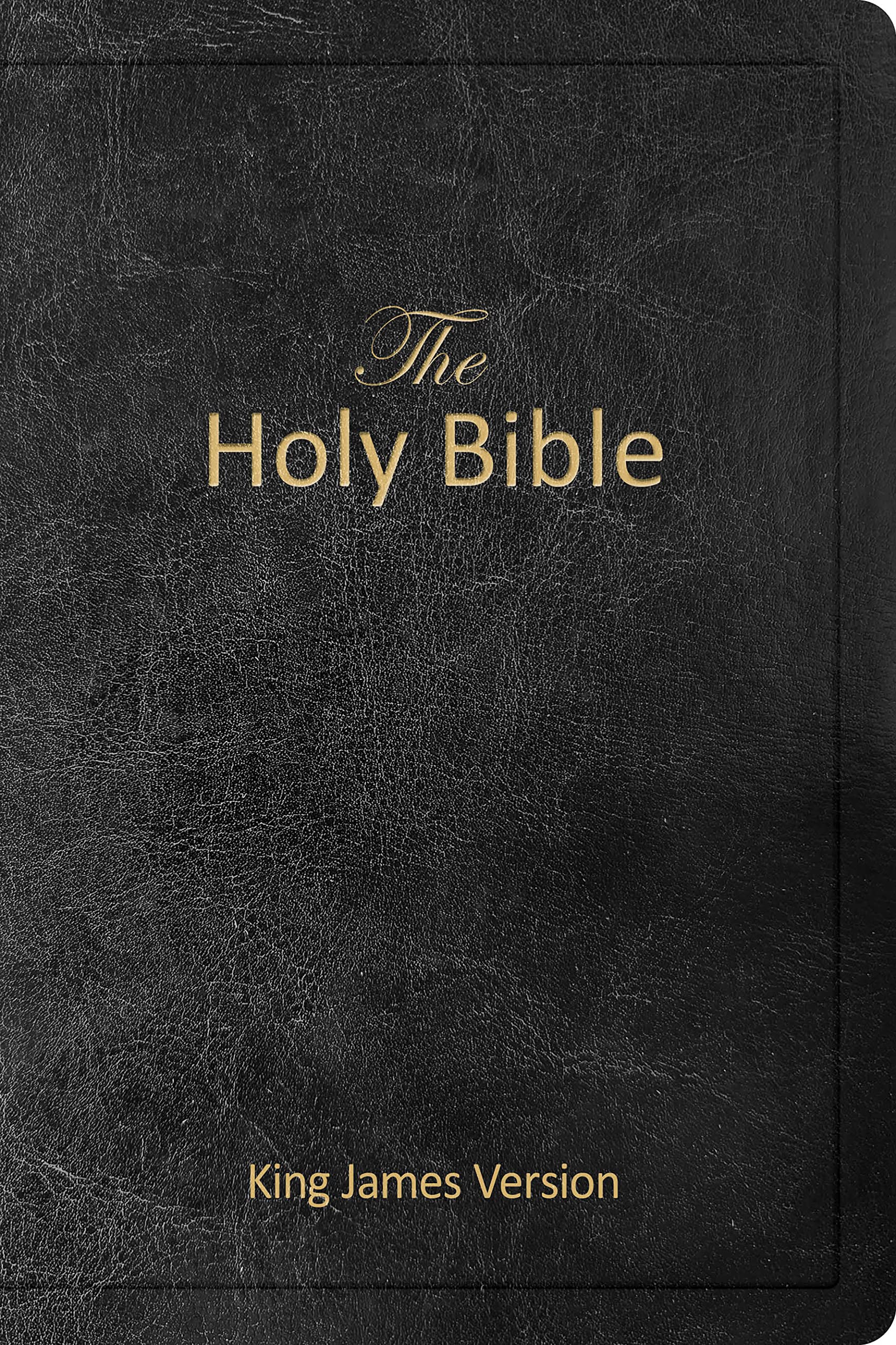 The Holy Bible (Kjv), Holy Spirit Edition, Imitation Leather, Dedication Page, Prayer Section: King James Version Perfect Paperback – 1 January 2023