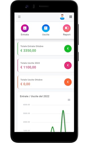 Company Income and Expenses