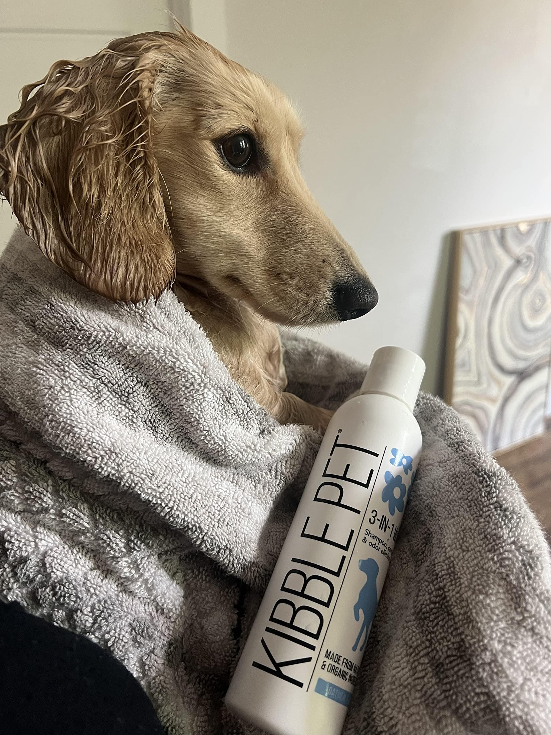 Organic Oatmeal & Aloe Vera Dog Shampoo - Hypoallergenic Coat Freshener, Made in USA, 6 oz