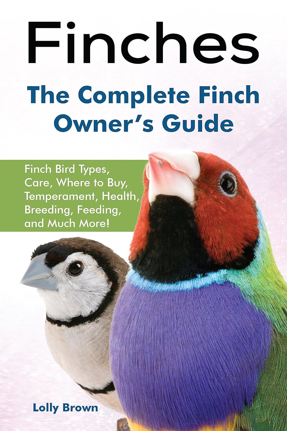 Finches Finch Bird Types, Care, Where to Buy, Temperament