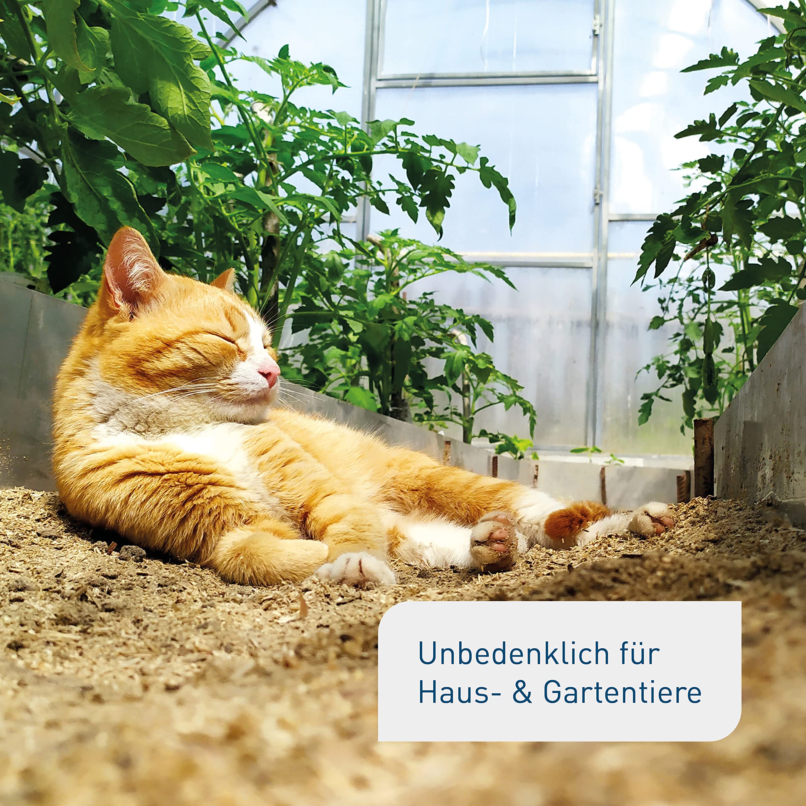 Plantura Bio-Bodenaktivator, mit lebenden Mykorrhiza-Pilzen, Langzeitwirkung, 10,5 kg für 140 m²