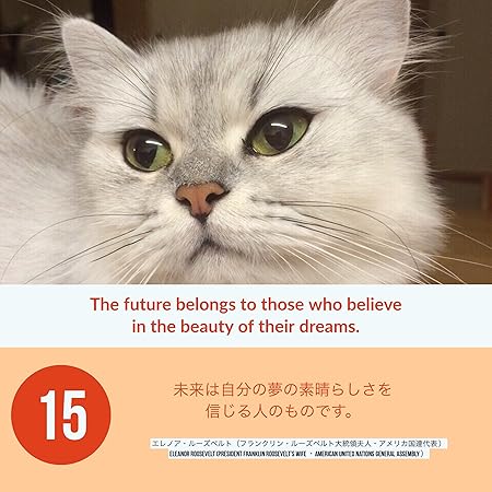 Amazon 世界を旅する元国際線ca監修 製作 英語と道徳の偉人の名言日めくり ラッセル モネ マザーテレサ カレンダー 文房具 オフィス用品 Amazon 世界を旅する元国際線ca監修 製作 英語と道徳の偉人の名言日めくり ラッセル モネ マザーテレサ カレンダー 文房具 オフィス用品