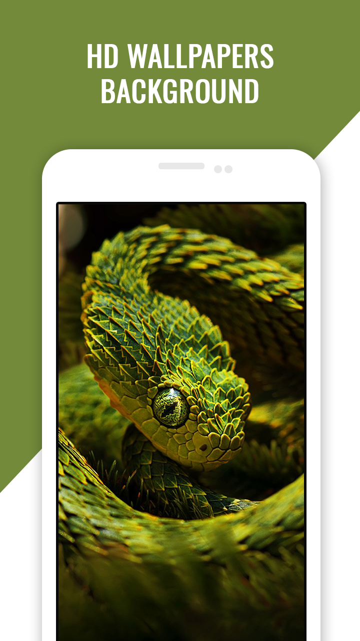 Snake HD Wallpapers App on Amazon
