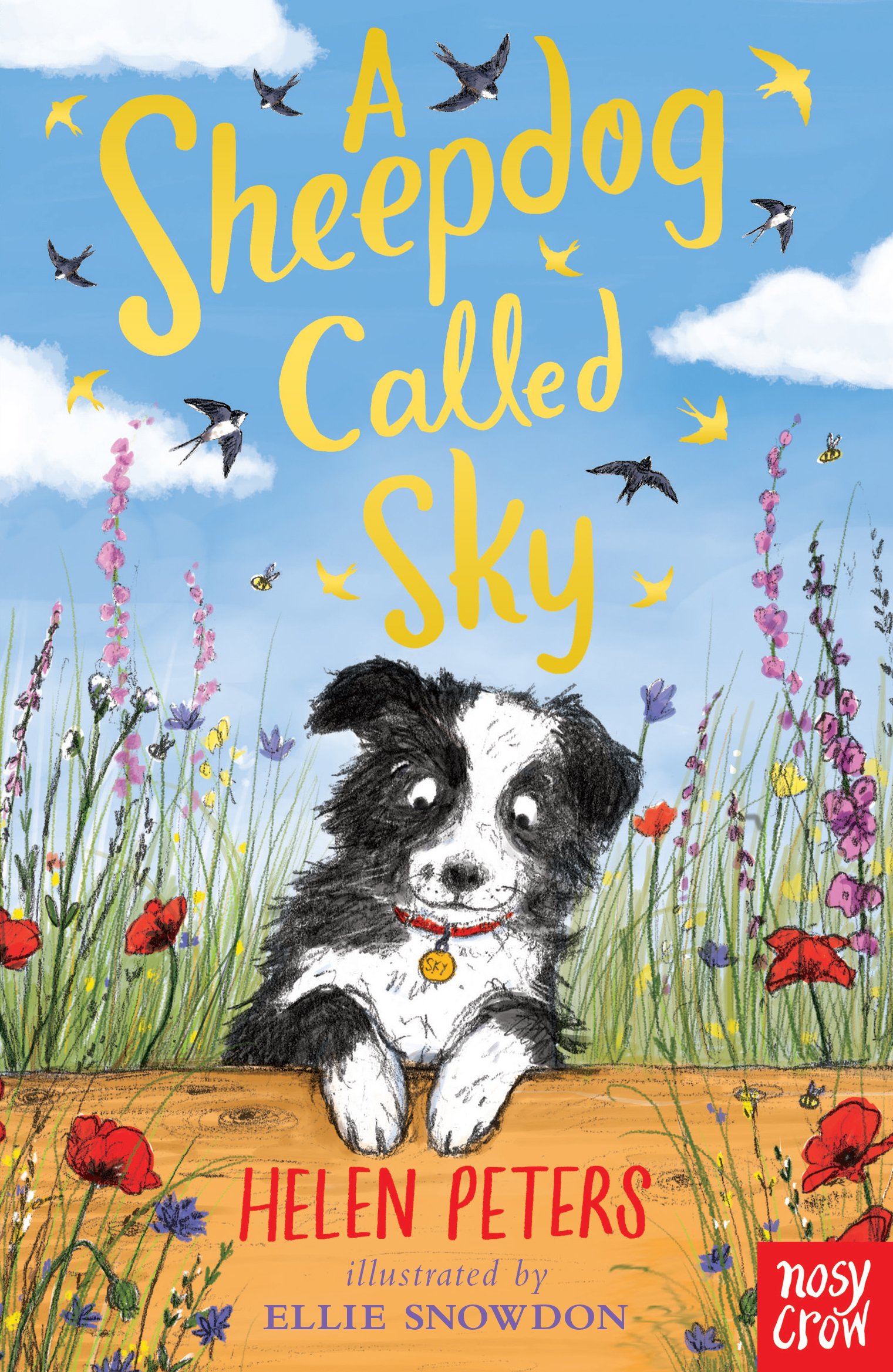 Nosy Crow Ltd A Sheepdog Called Sky