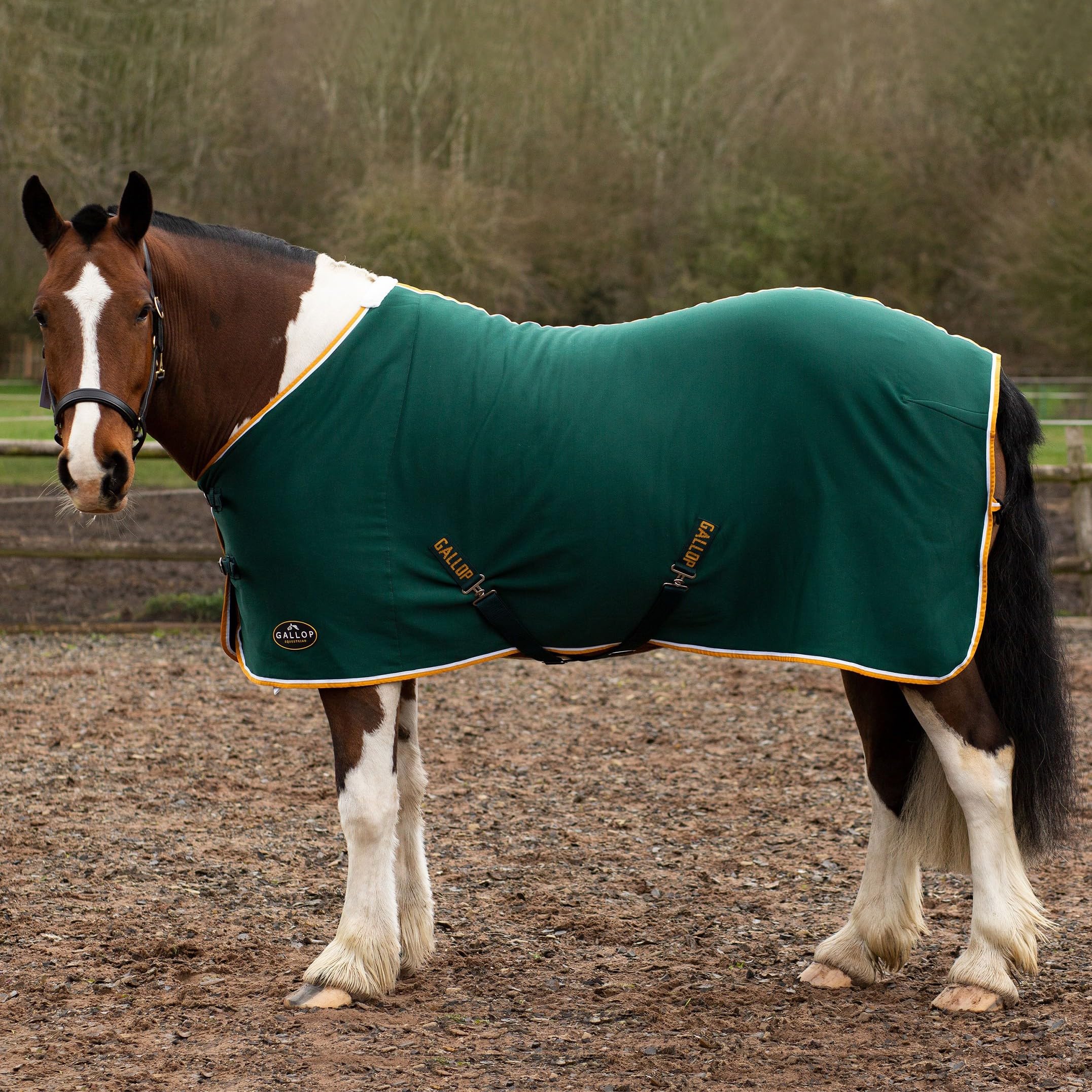 Gallop Jersey Fleece Cooler Rug For Horse Pony Equestrian (6'6", Green)