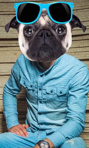 Dog Face Photo Montage
