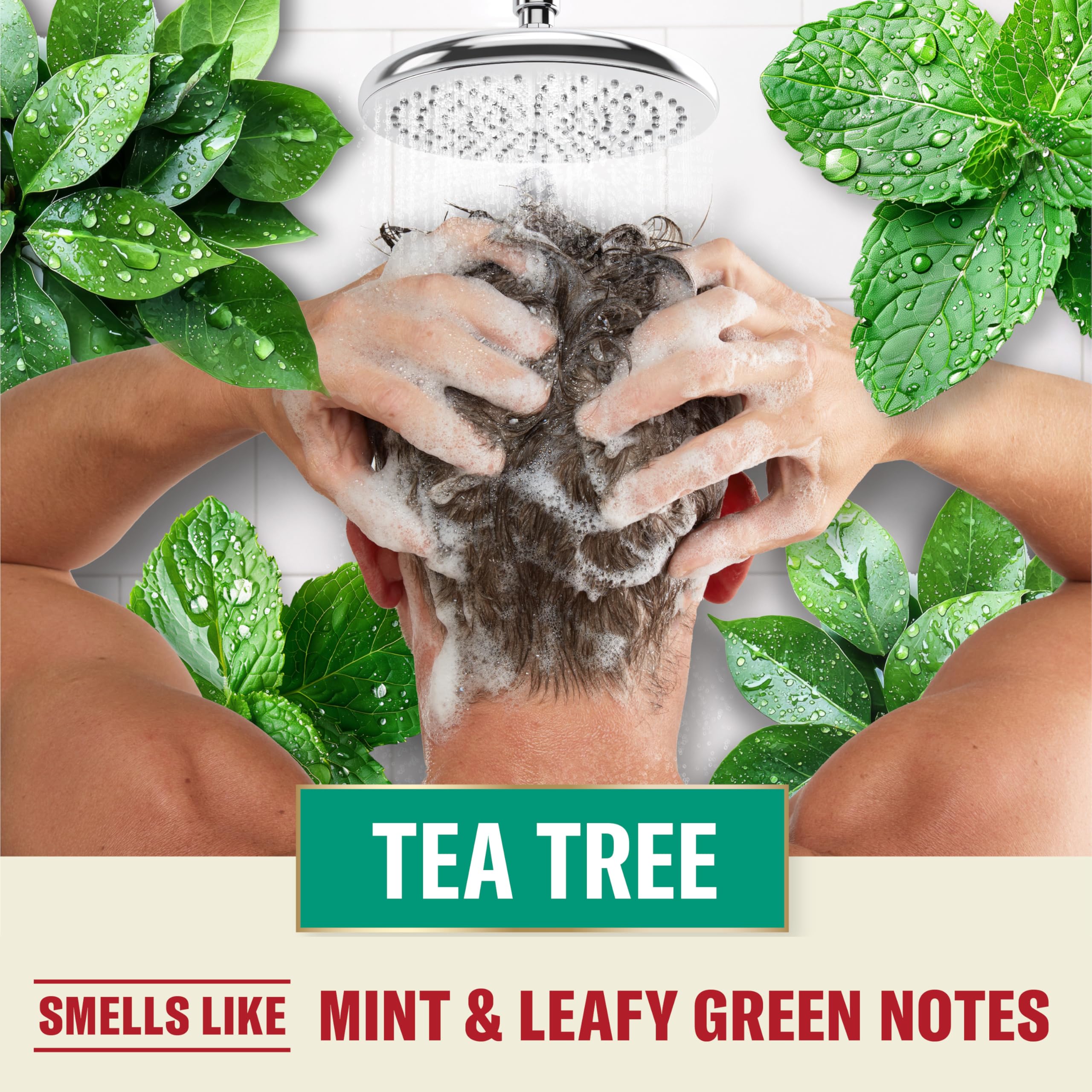 Old Spice Tea Tree Shampoo for Men, Healthier, Fuller, More Moisturized Looking Hair, 21.9 Fl Oz Each, Twin Pack