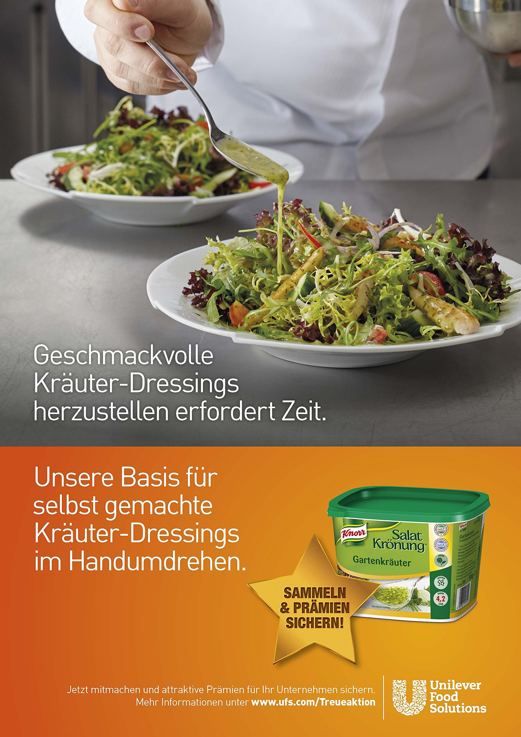 Knorr Salatkrönung Universal-Kräuter Dressing 1er Pack (1 x 500 g)