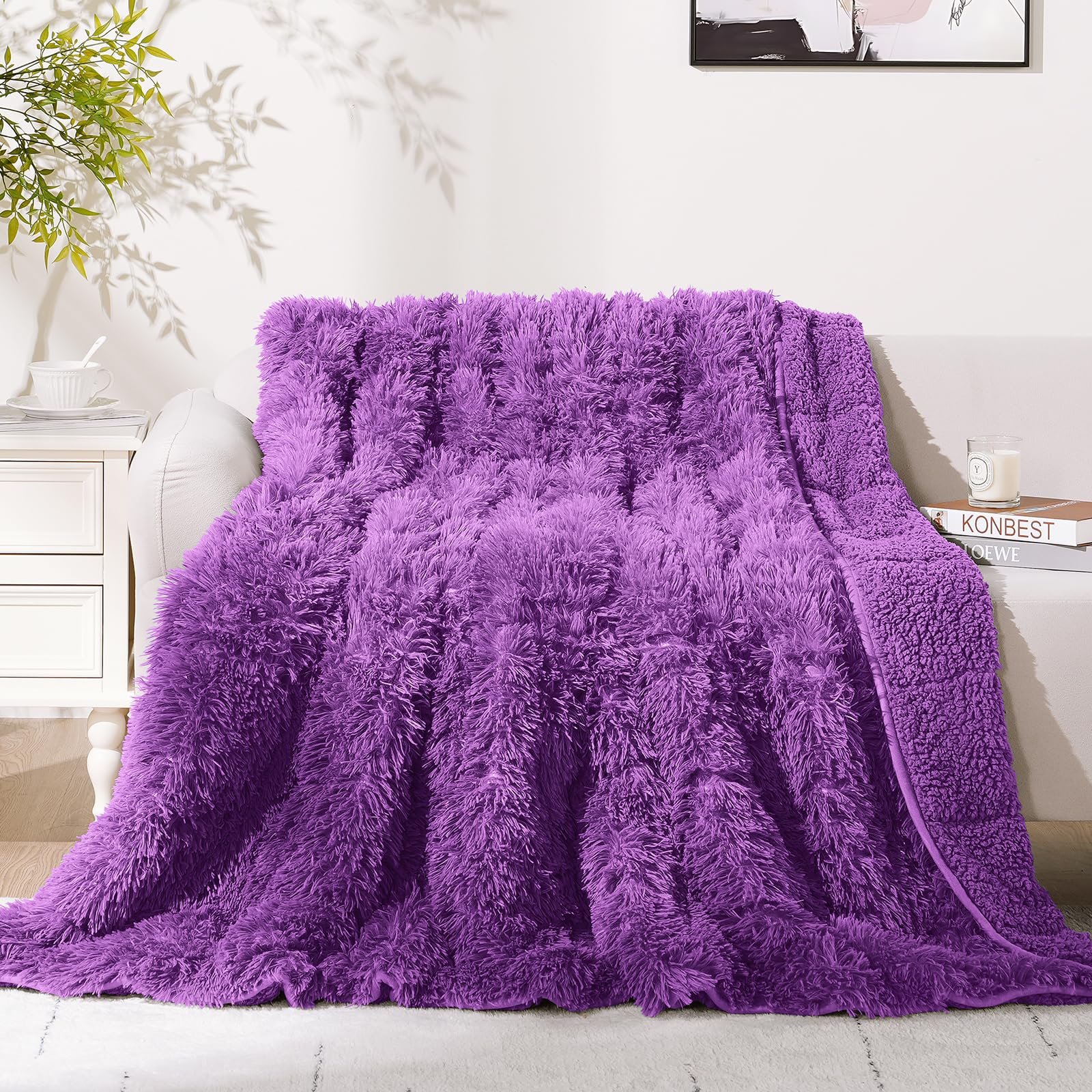 Cottonblue Weighted Blanket 20lbs Queen Size 60x80 inches Soft Sherpa Plush