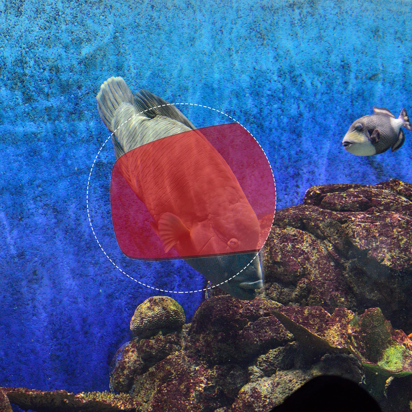 QUARKZMAN 4 szt. Czerwone niebieskie okulary 3D, plastikowe okulary 3D do telewizora Anaglyph, projekcja stereoskopowa, czarna ramka 6 cali