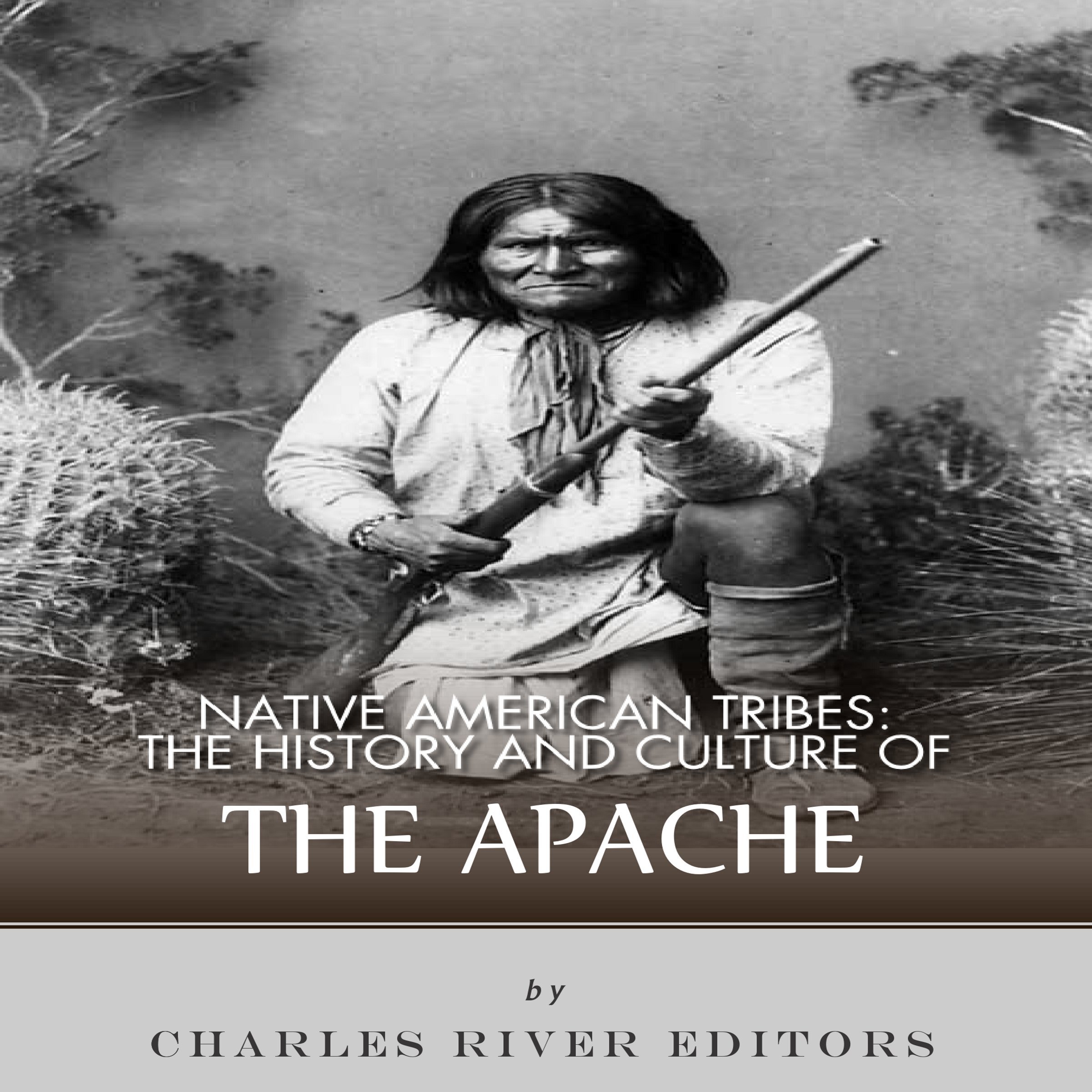 Cover art for Native American Tribes: The History and Culture of the Apache
