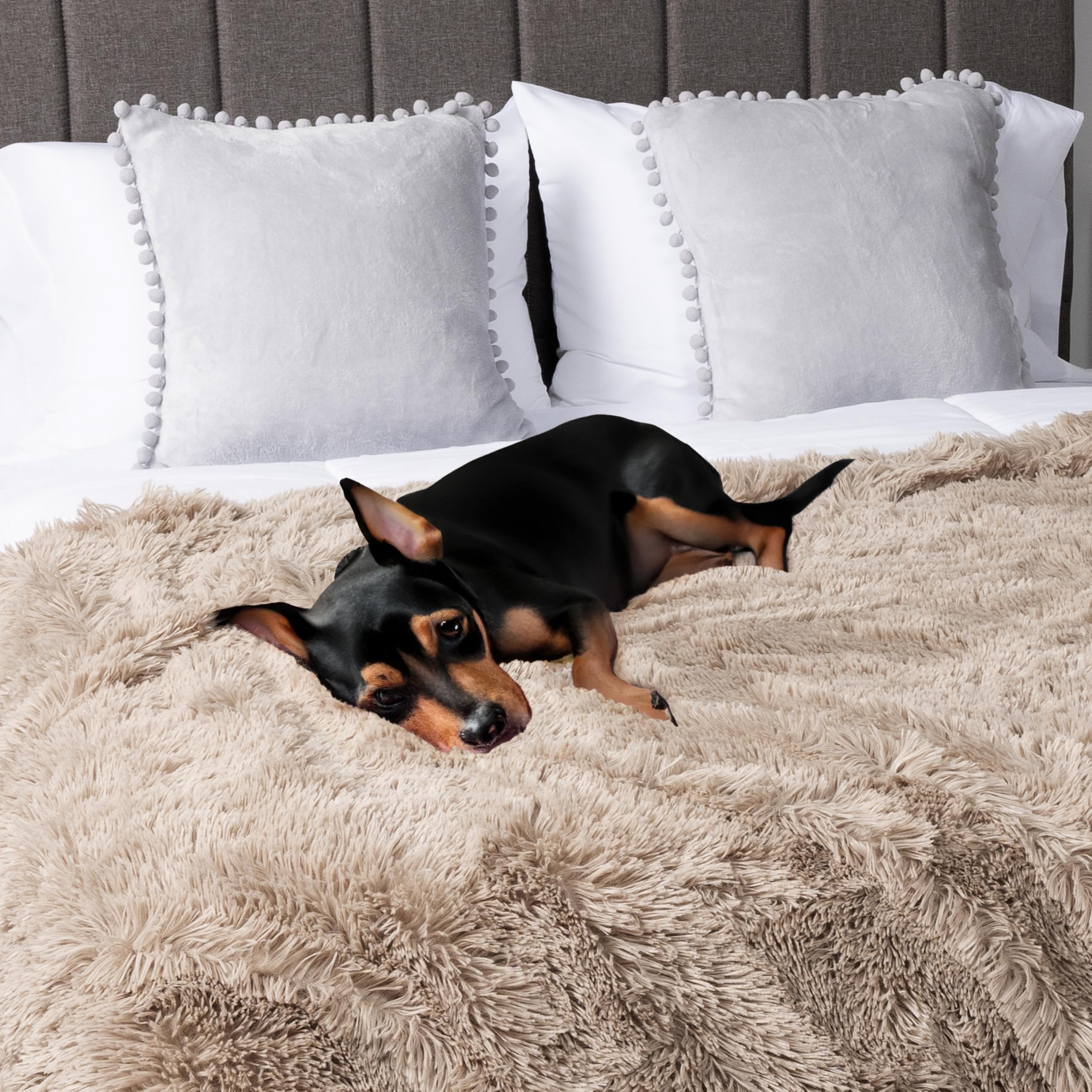 PAVILIA Weiche flauschige Kunstfell-Überwurfdecke, Taupe Tan Camel, zottelig, pelzig, warm, Sherpa-Decke, Fleece-Überwurf für Bett, Sofa, Couch, dekorativer flauschiger Plüsch, bequem, dick, 127 x 152