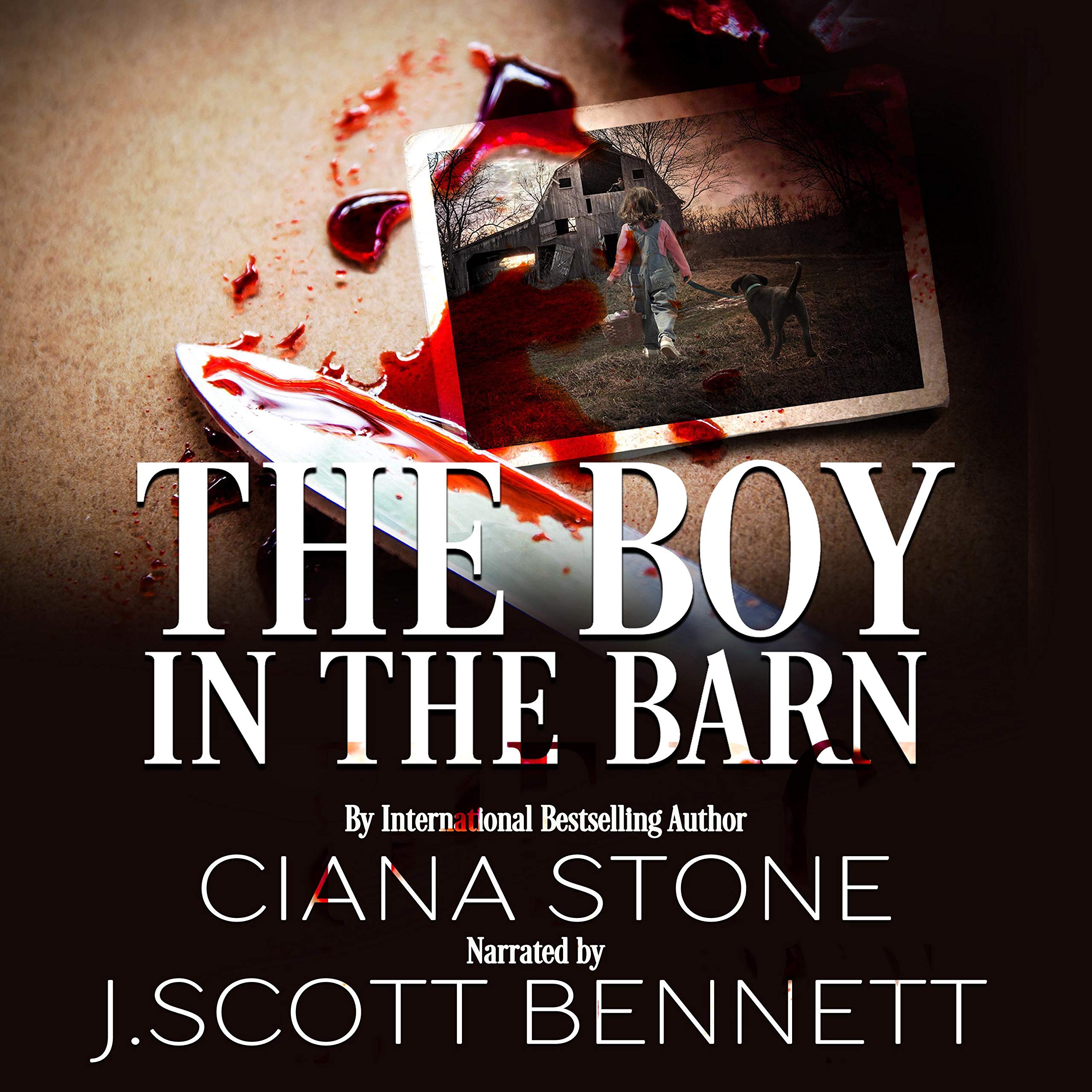 Cover art for The Boy in the Barn