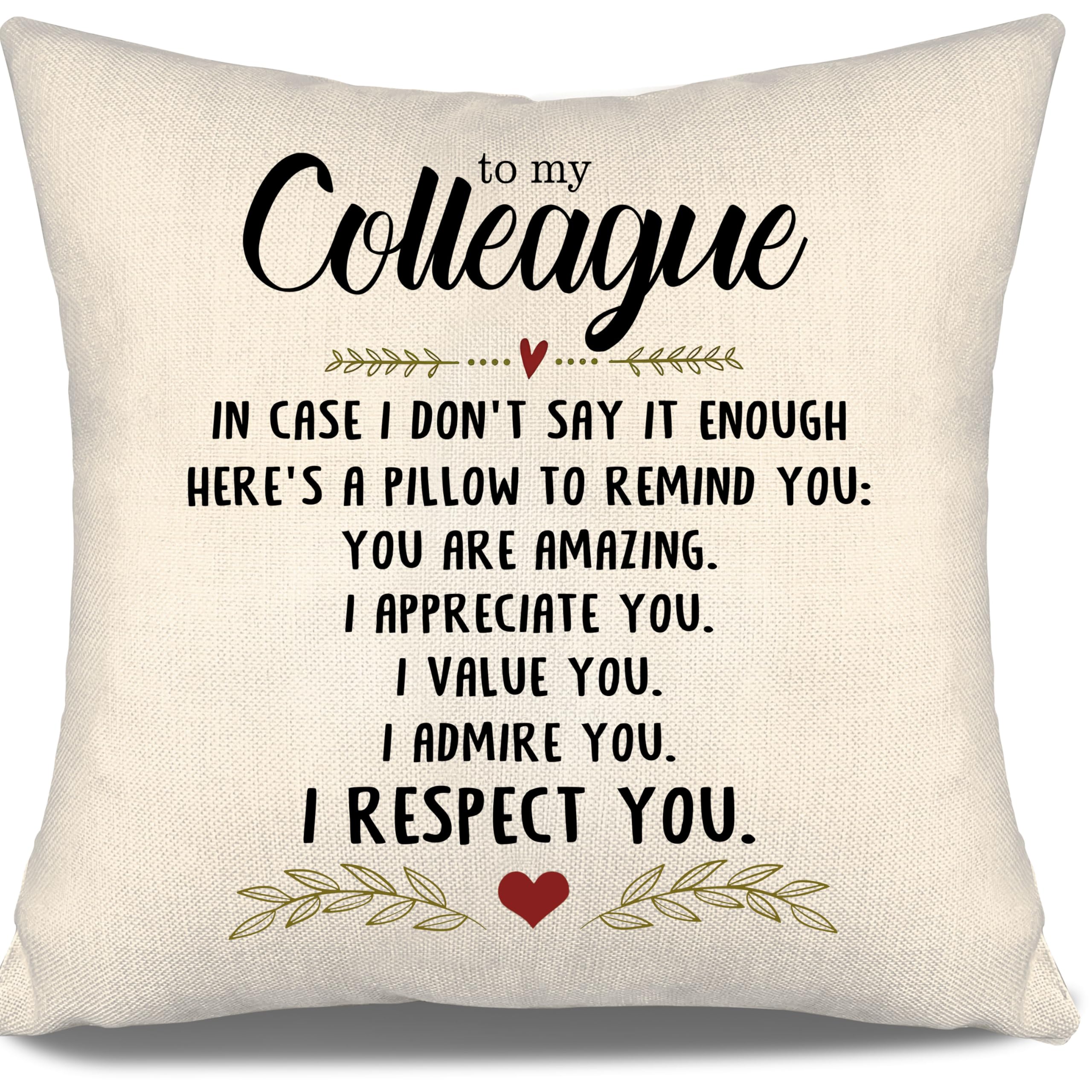 To My Colleague In Case I Don't Say It Enough Here's A Pillow To Remind You You Are Amazing I Appreciate You I Value You I Admire You Cushion Cover from Colleagues Reminder Birthday