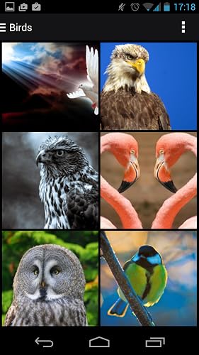 Cool Wallpapers Free – vue 4