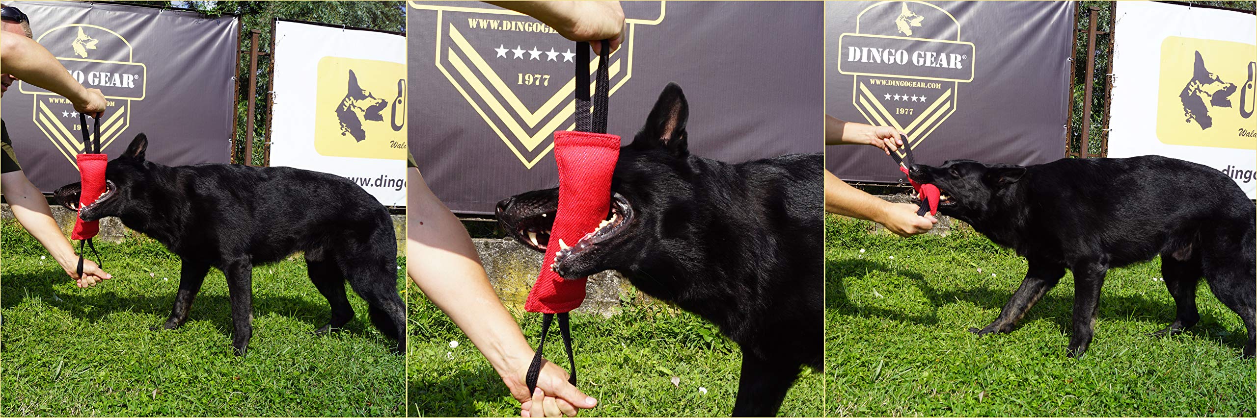 Dingo Gear - Remolque de Nailon para Entrenamiento de Perros IGP IPO Schutzhund para búsqueda ciega de presas para Obtener recompensa, Hecho a Mano de Material francés