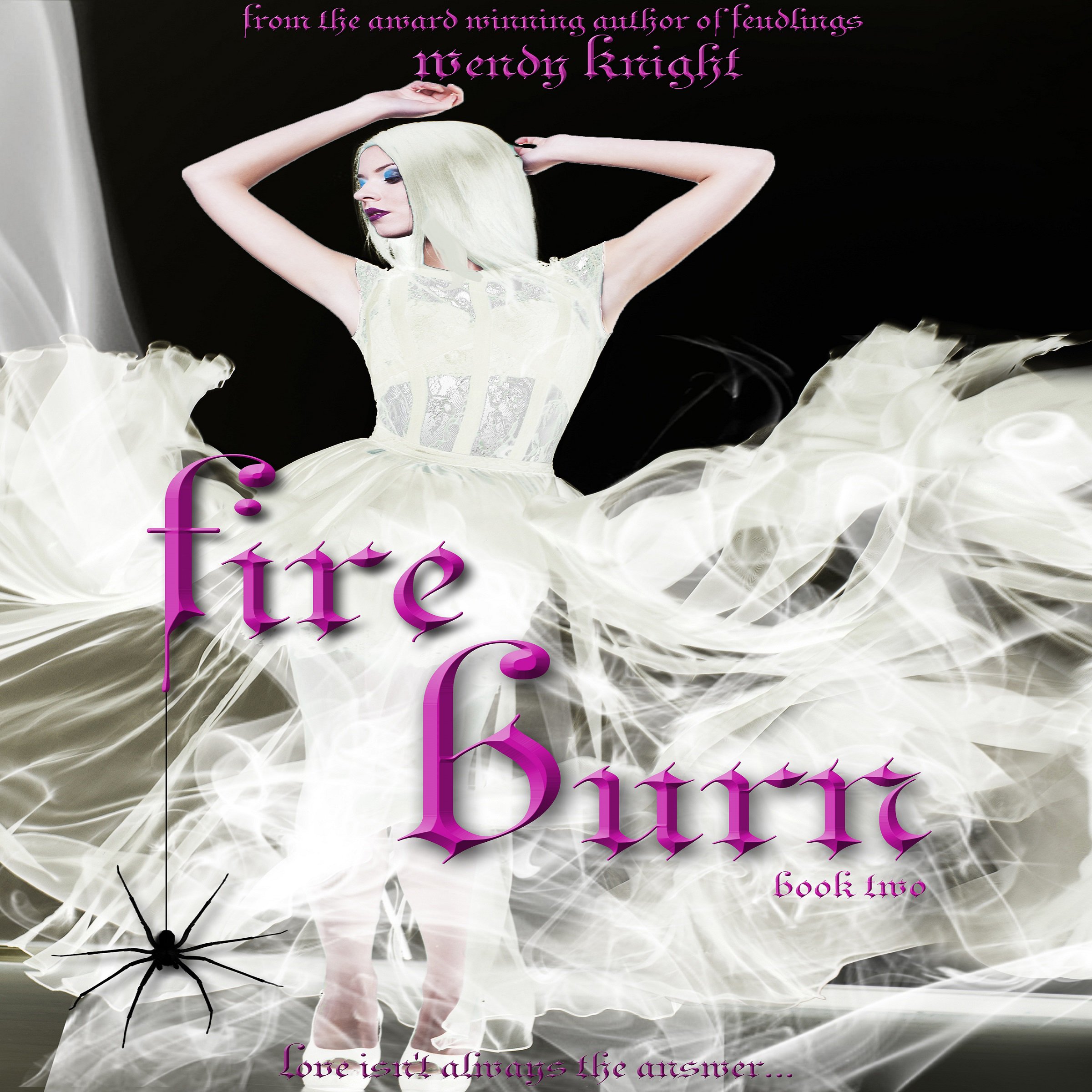 Cover art for Fire Burn